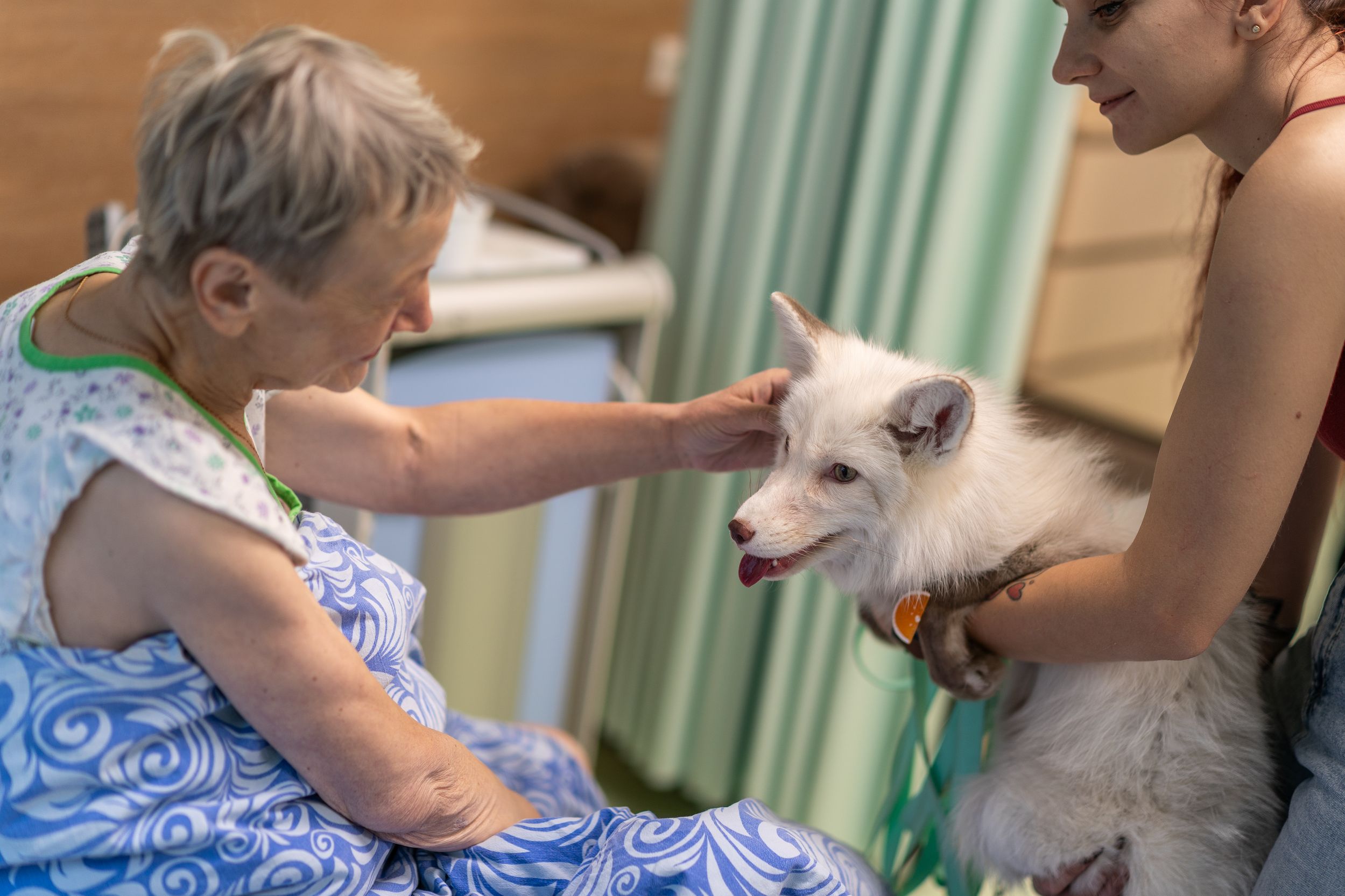 Не больно, не страшно, не стыдно, не одиноко