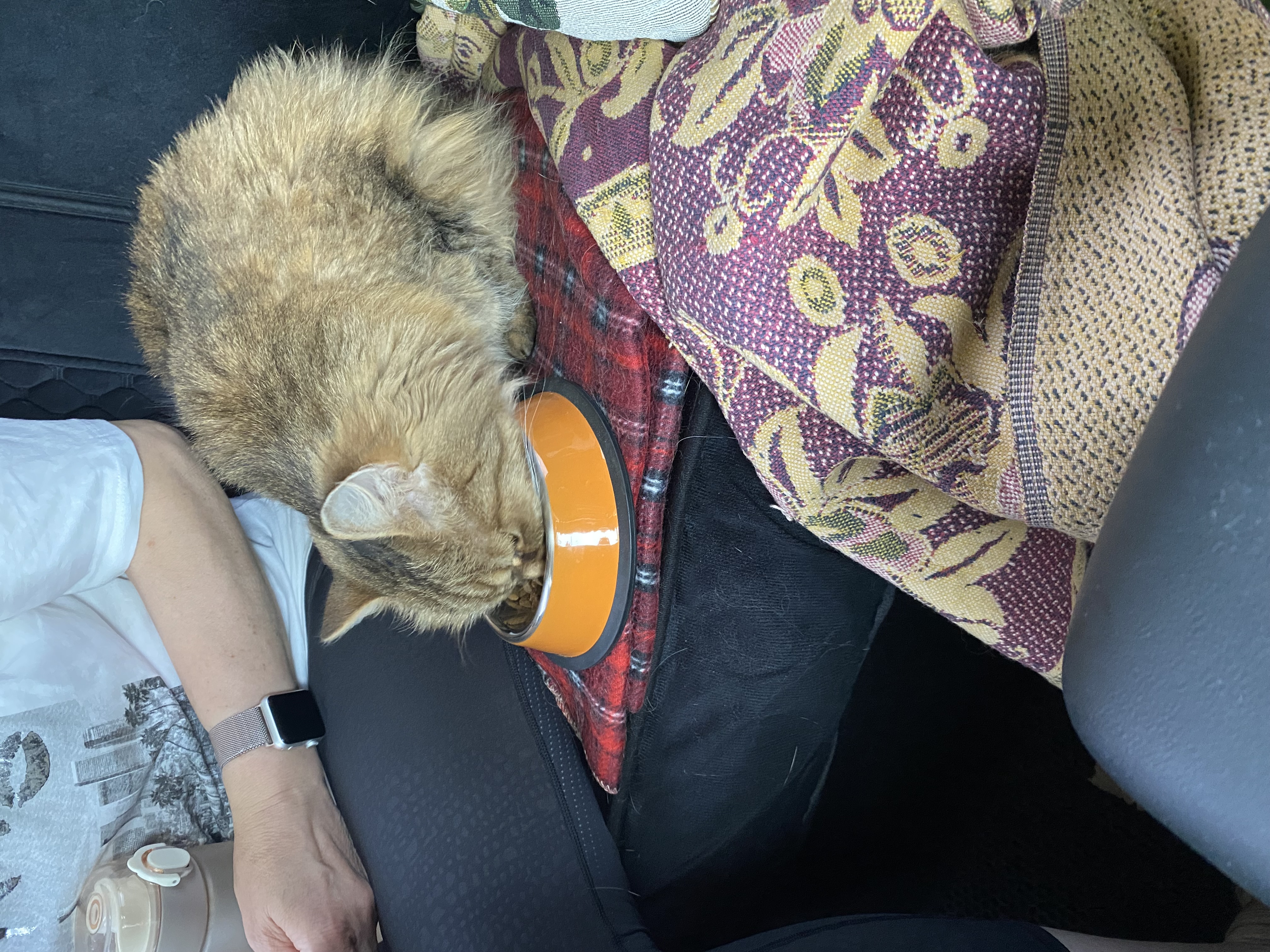 Ну, когда уже приедем?