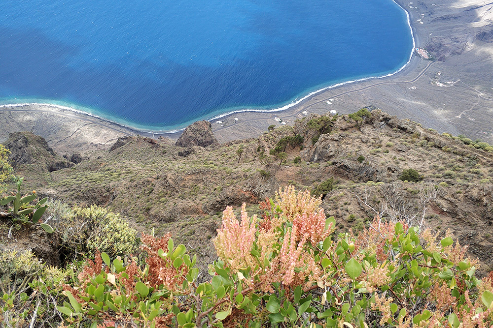 Такие насыщенные краски на этом острове круглый год: на Иерро больше осадков, чем на юге Тенерифе