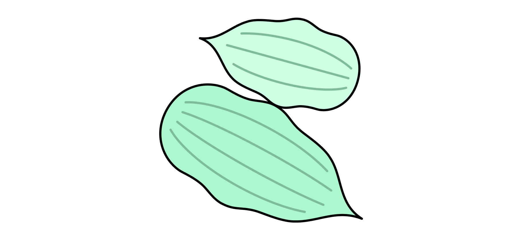 Говорят, кардамон полезен и помогает похудеть. Правда ли​ стоит добавлять эту специю в еду?