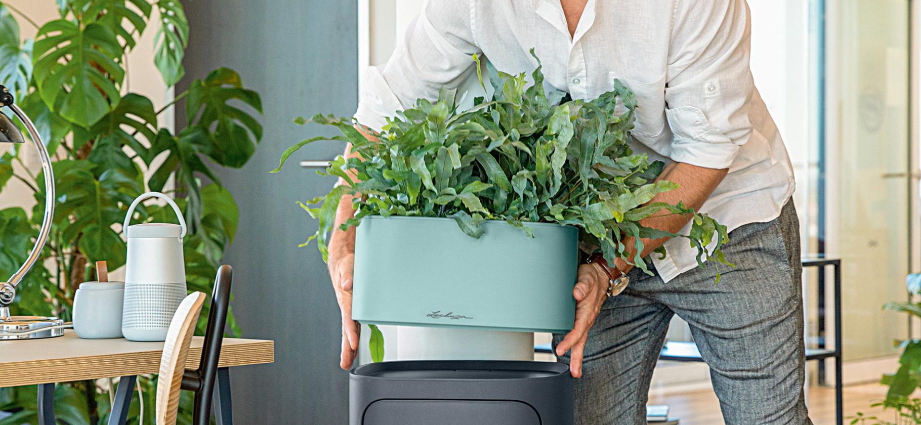 10 красивых горшков с автополивом