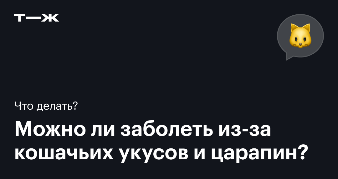 Как распознать и вылечить аллергию у кошек в домашних условиях