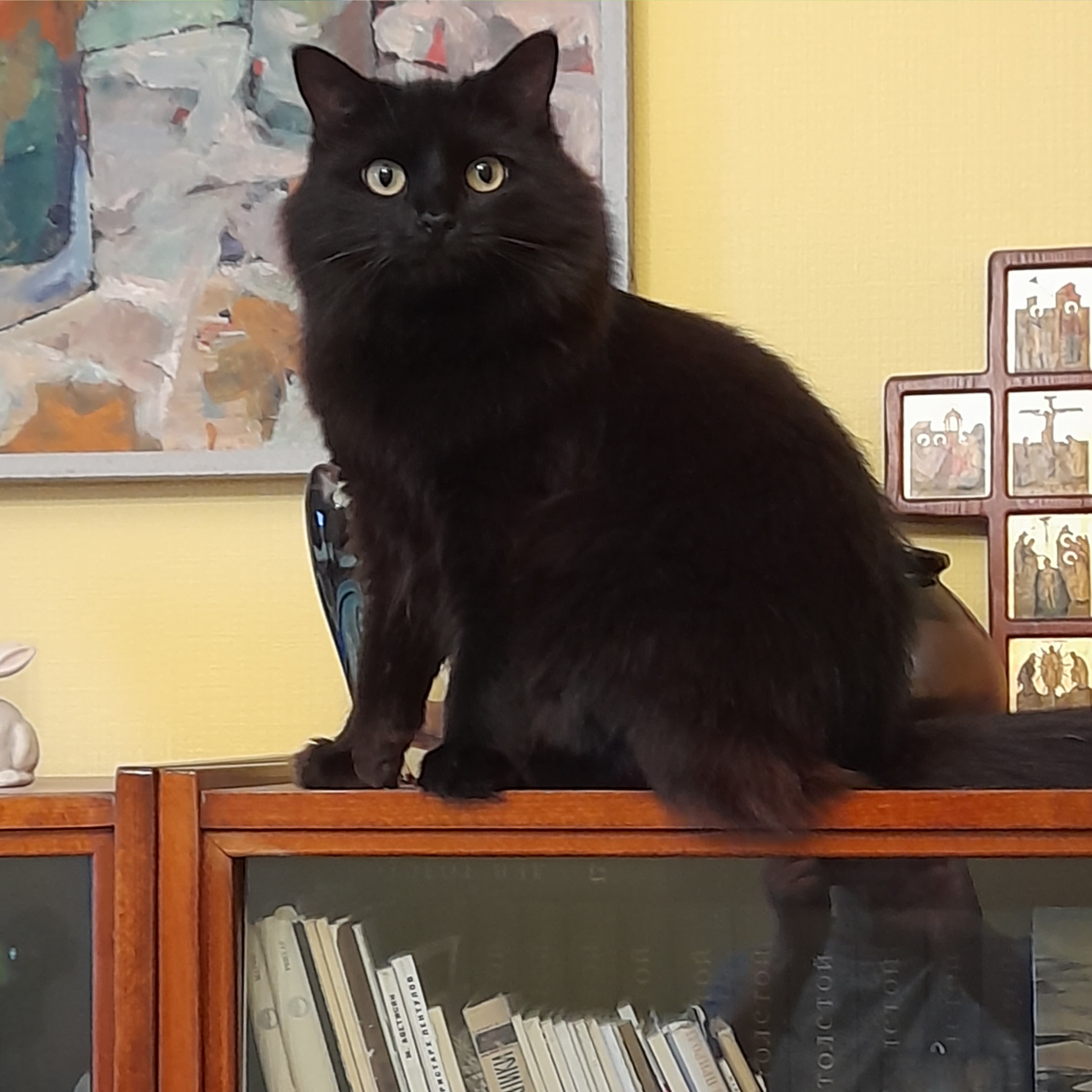 «Высоко сижу, далеко гляжу!»