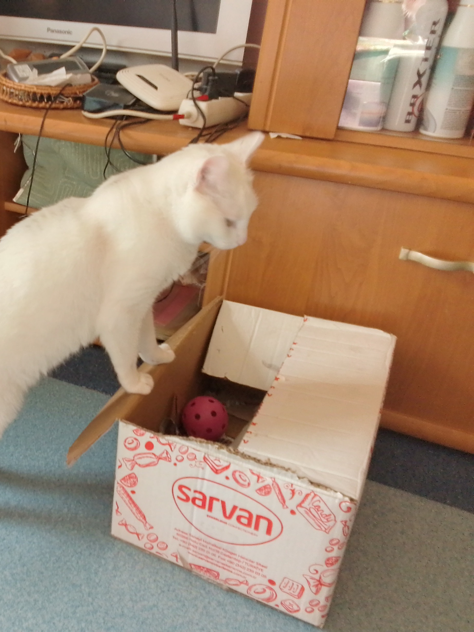 Думаем.. а не повредничать ли..