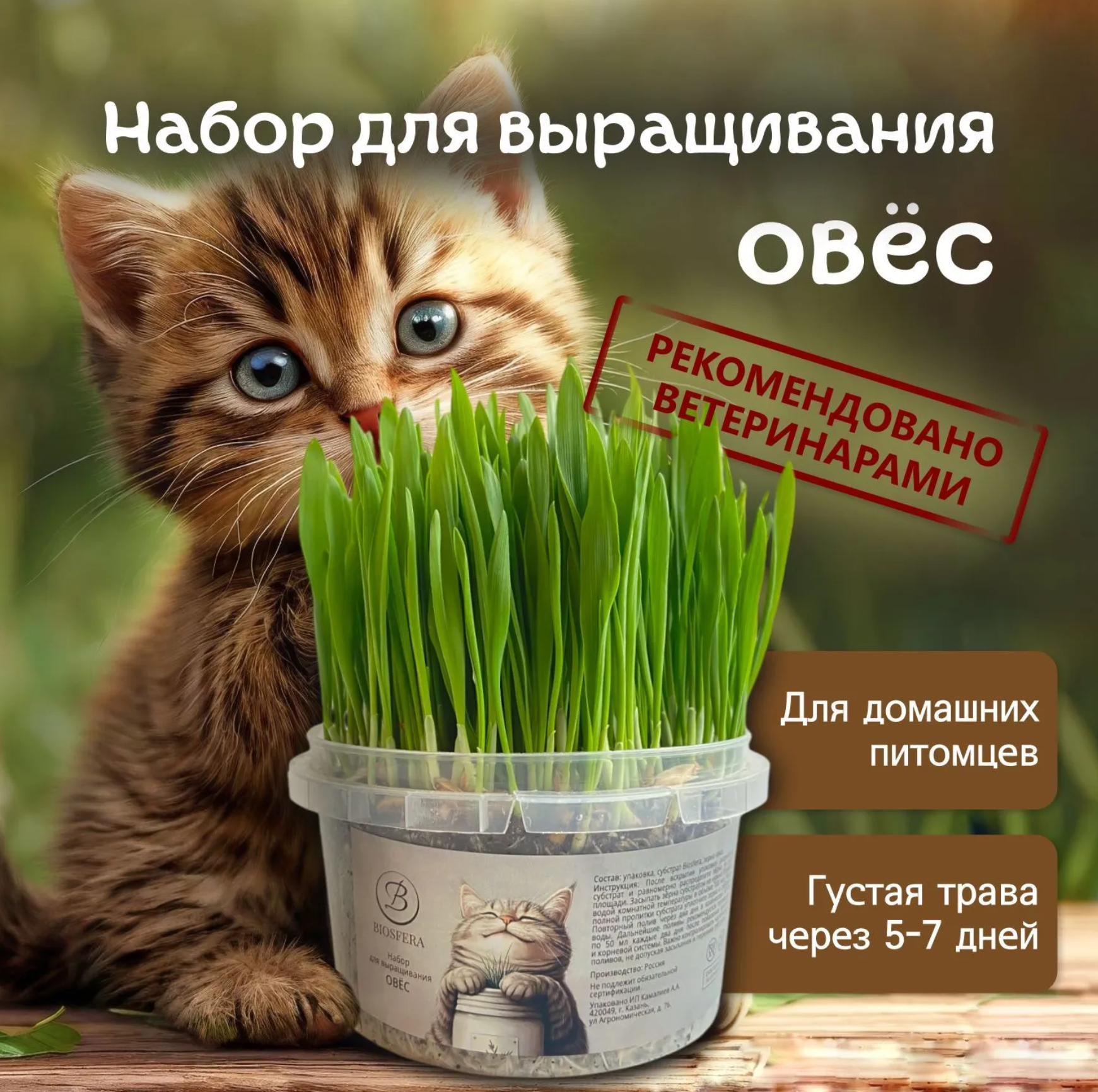 На маркетплейсах можно найти готовые наборы для проращивания «кошачьей травы». Например, вот такой для выращивания овса. Цена: 158 ₽
