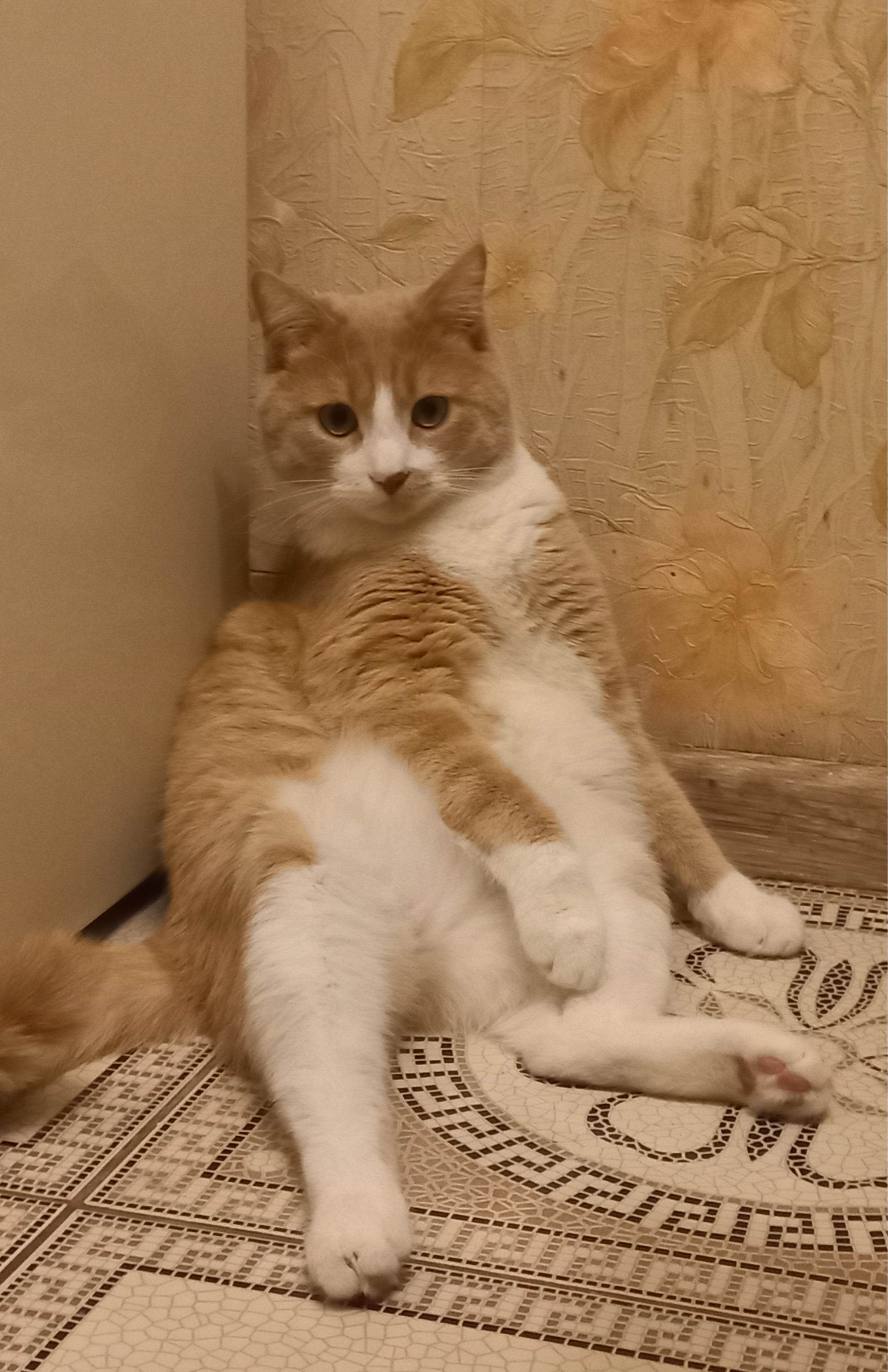 Отдыхает после обеда