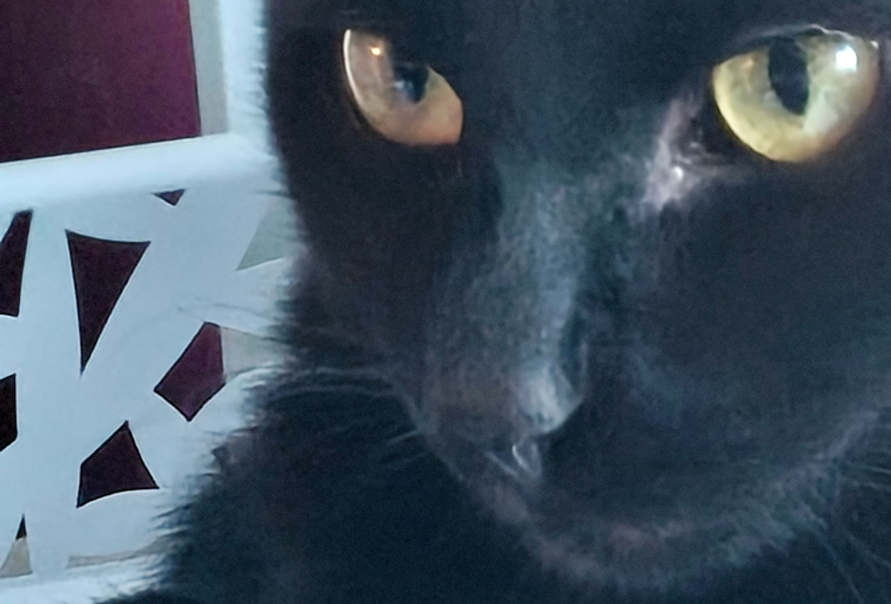 Фото питомца: кот Кабан думает о жизни