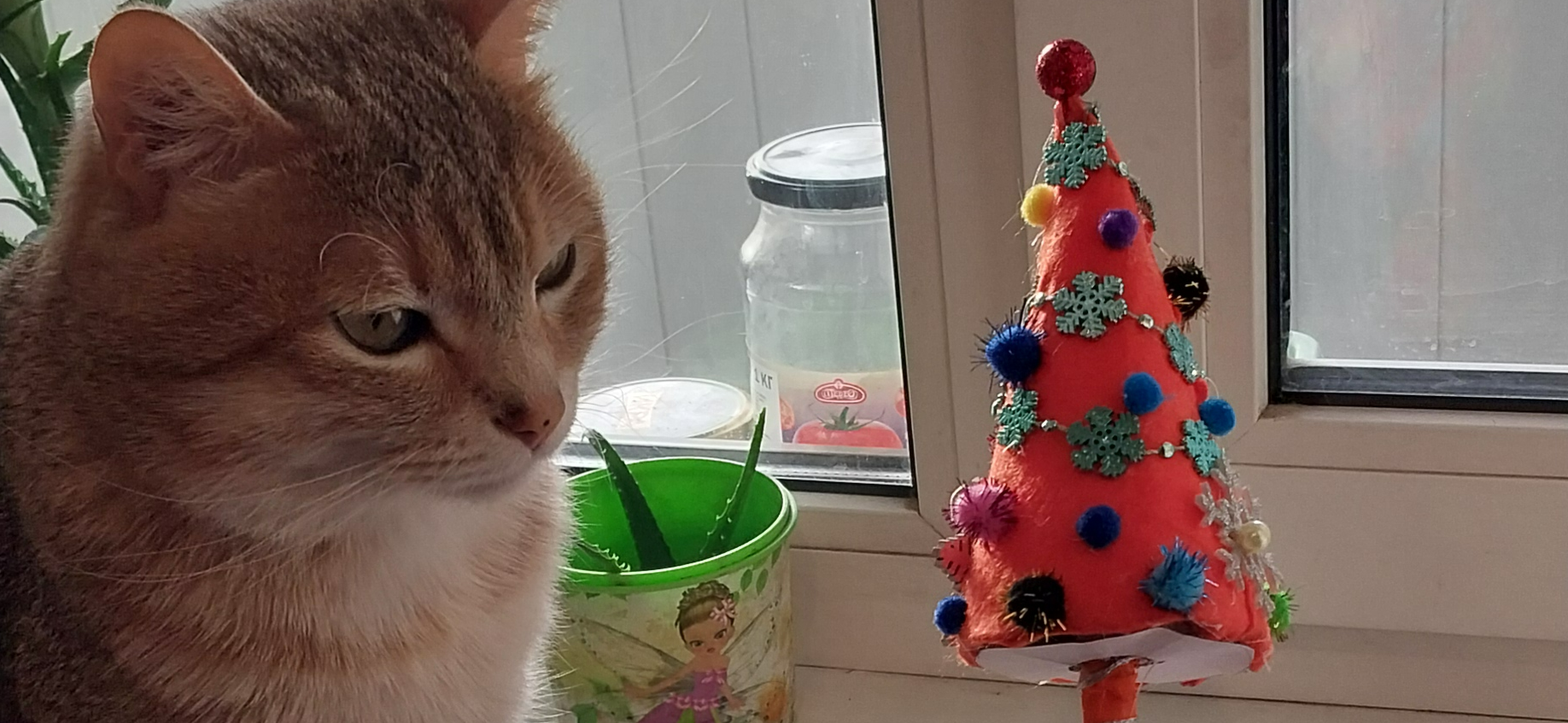 Фото питомца: кот Мусик ждет, когда подрастет елочка