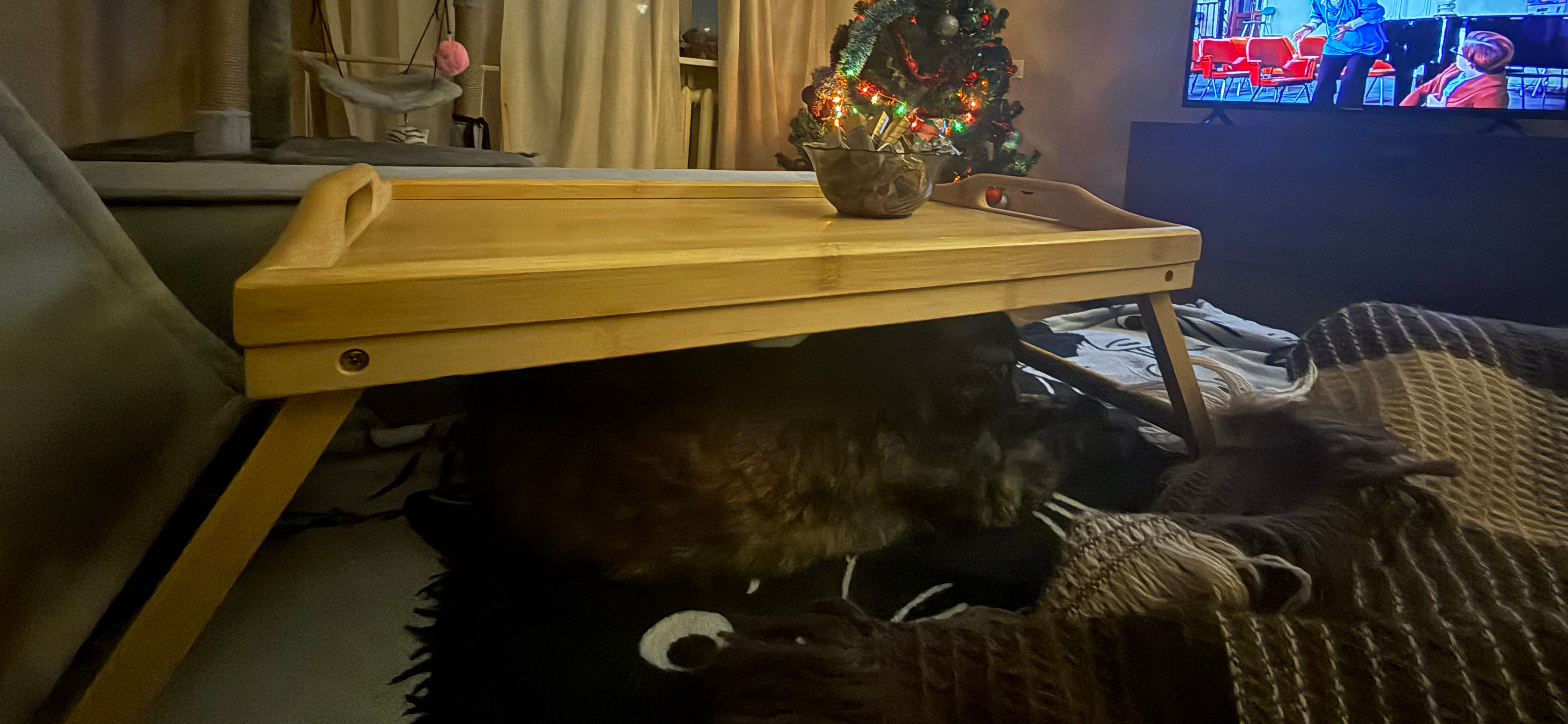 Фото питомца: кошка Нора нашла укрытие под кроватным столиком