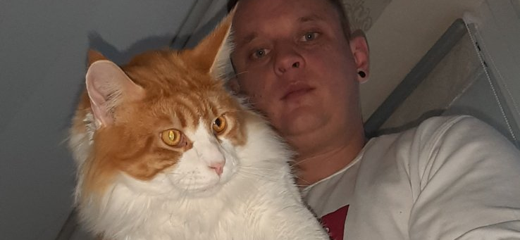 Фото питомцев: кот отдыхает