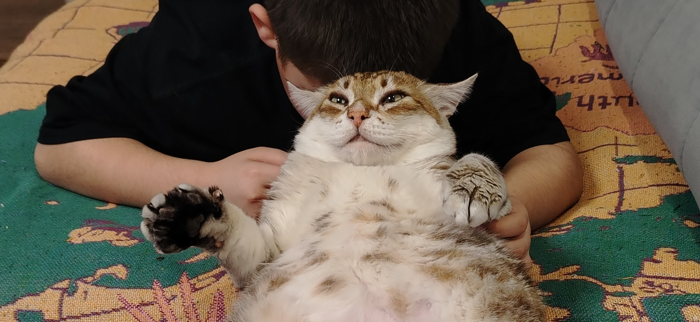 Фото питомца: кот Рысик отдыхает с хозяином