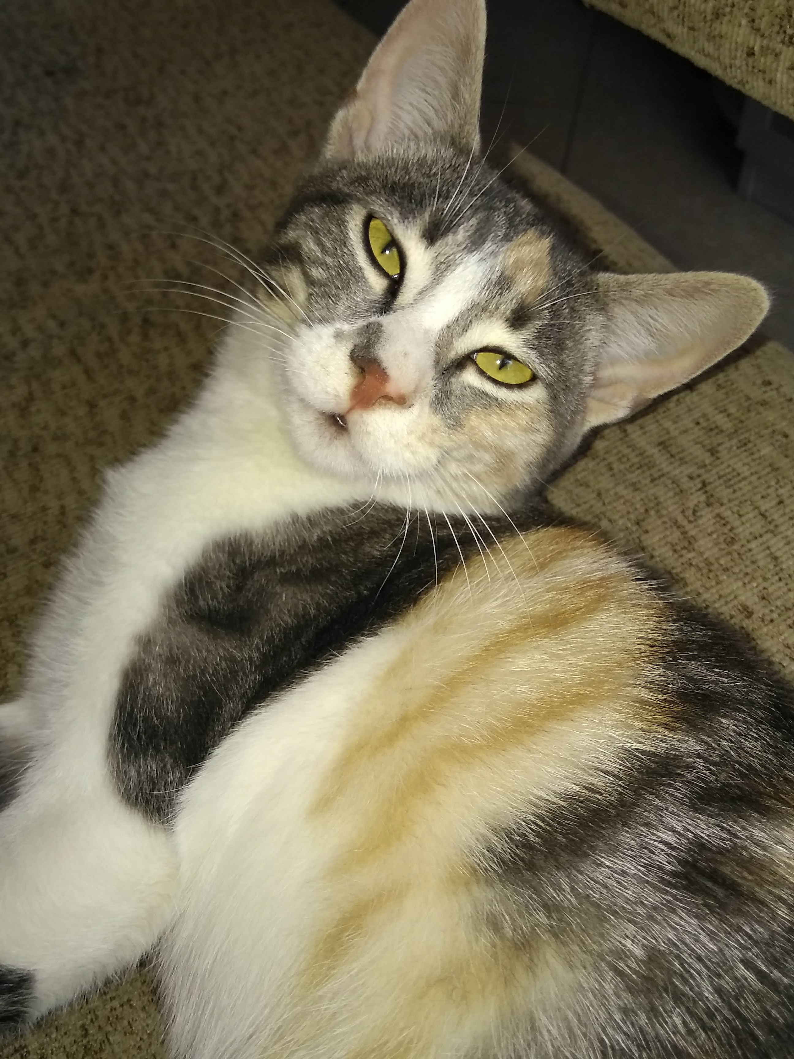 В этом взгляде вся тяжесть бытия