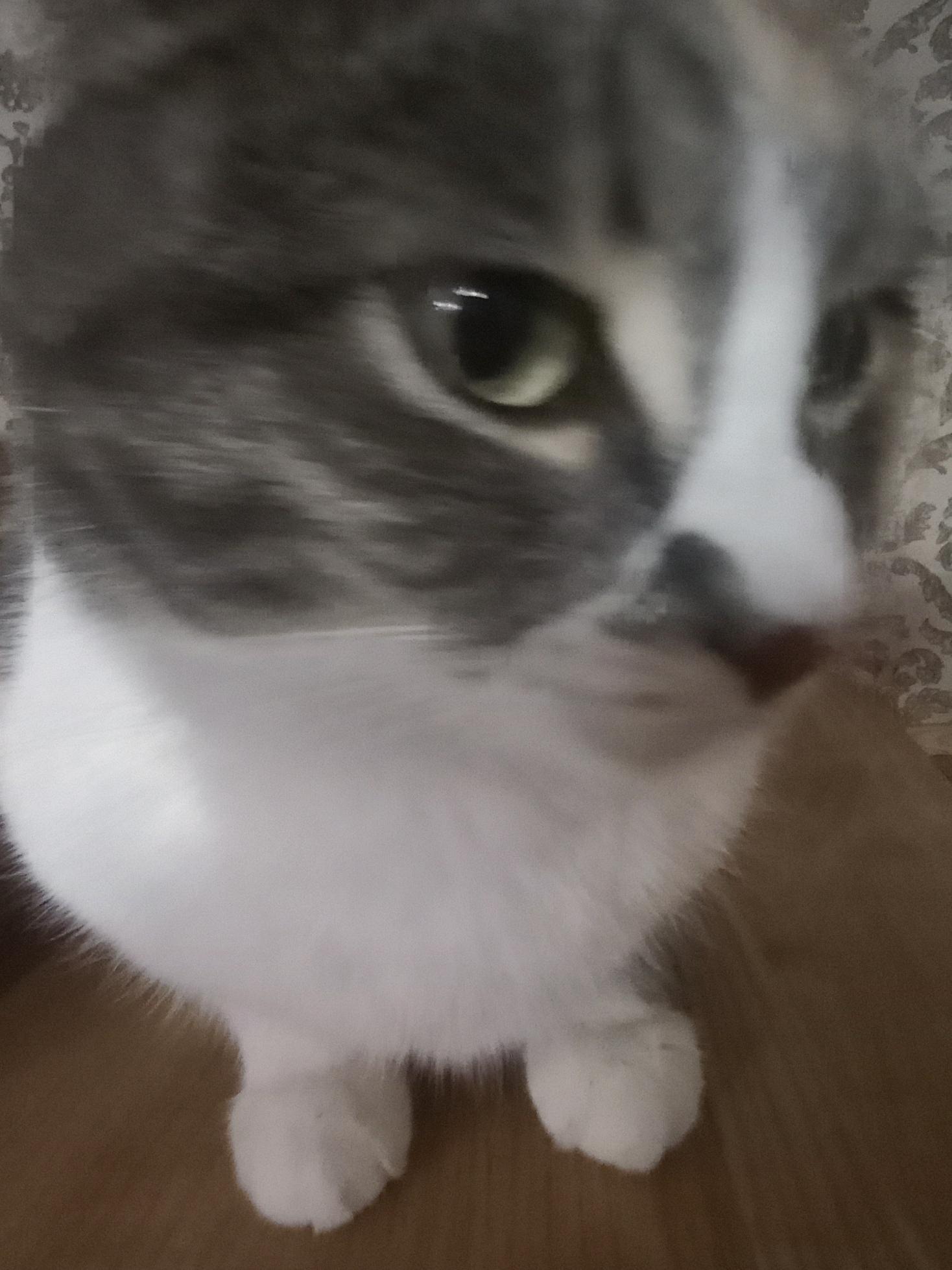 Мемная Шанель-3