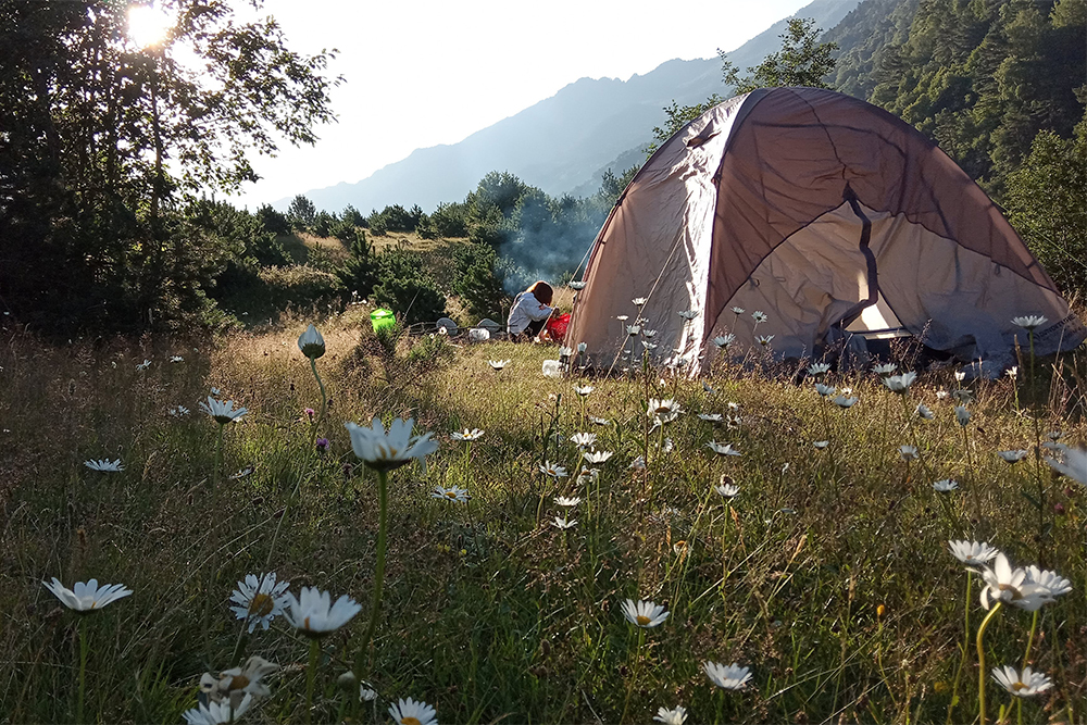 Летом мы просыпались в семь утра из⁠-⁠за жары в палатке. Зато снаружи нас встречала свежесть и благодать