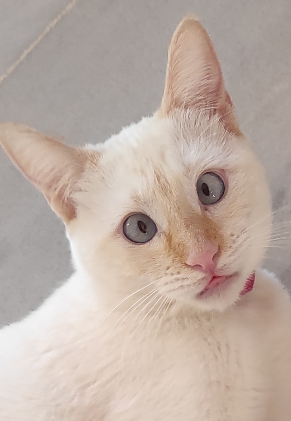 «Ой! А чего это вы тут делаете?»