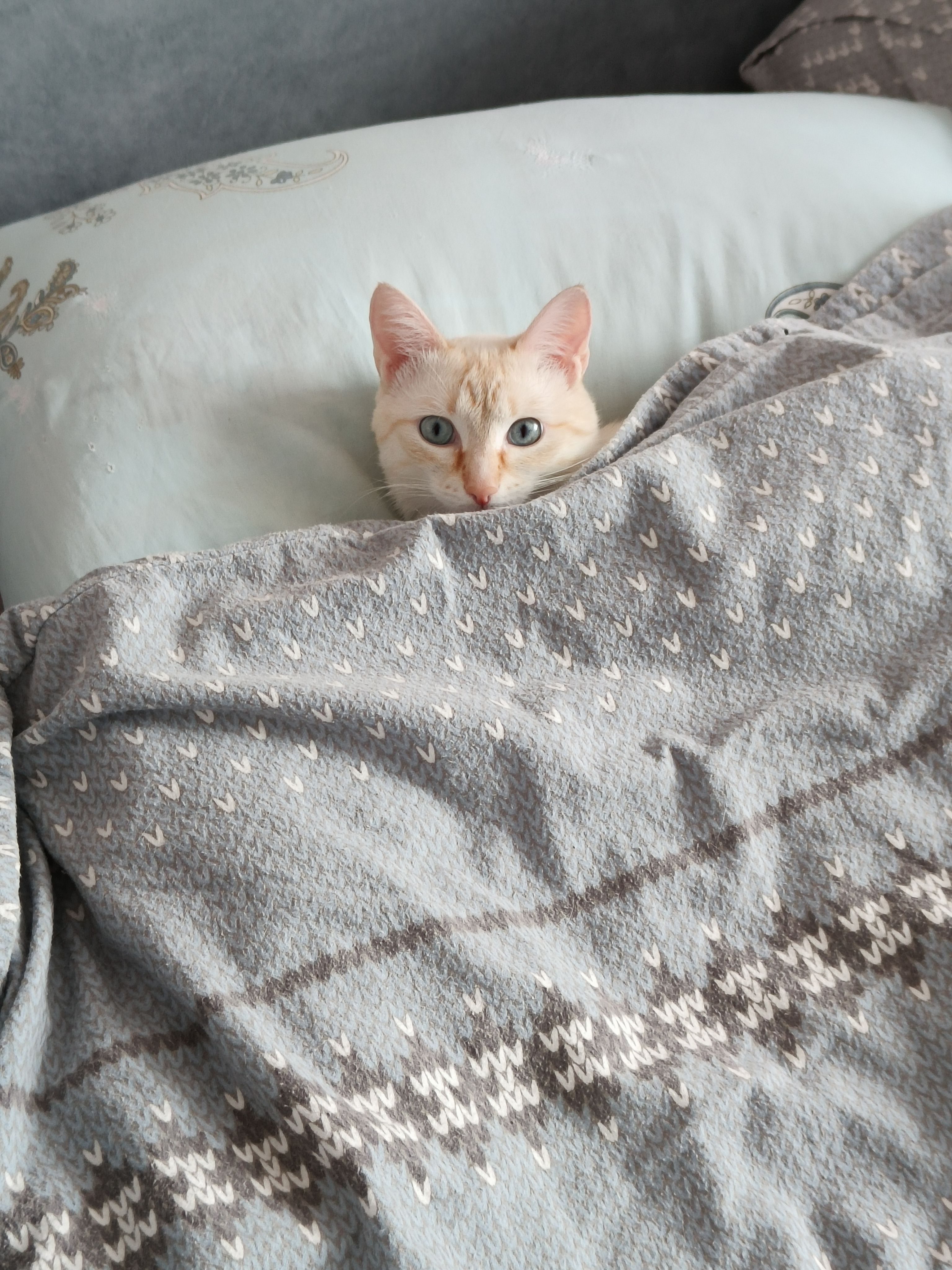 Попу поднял — место потерял, теперь моя очередь спать