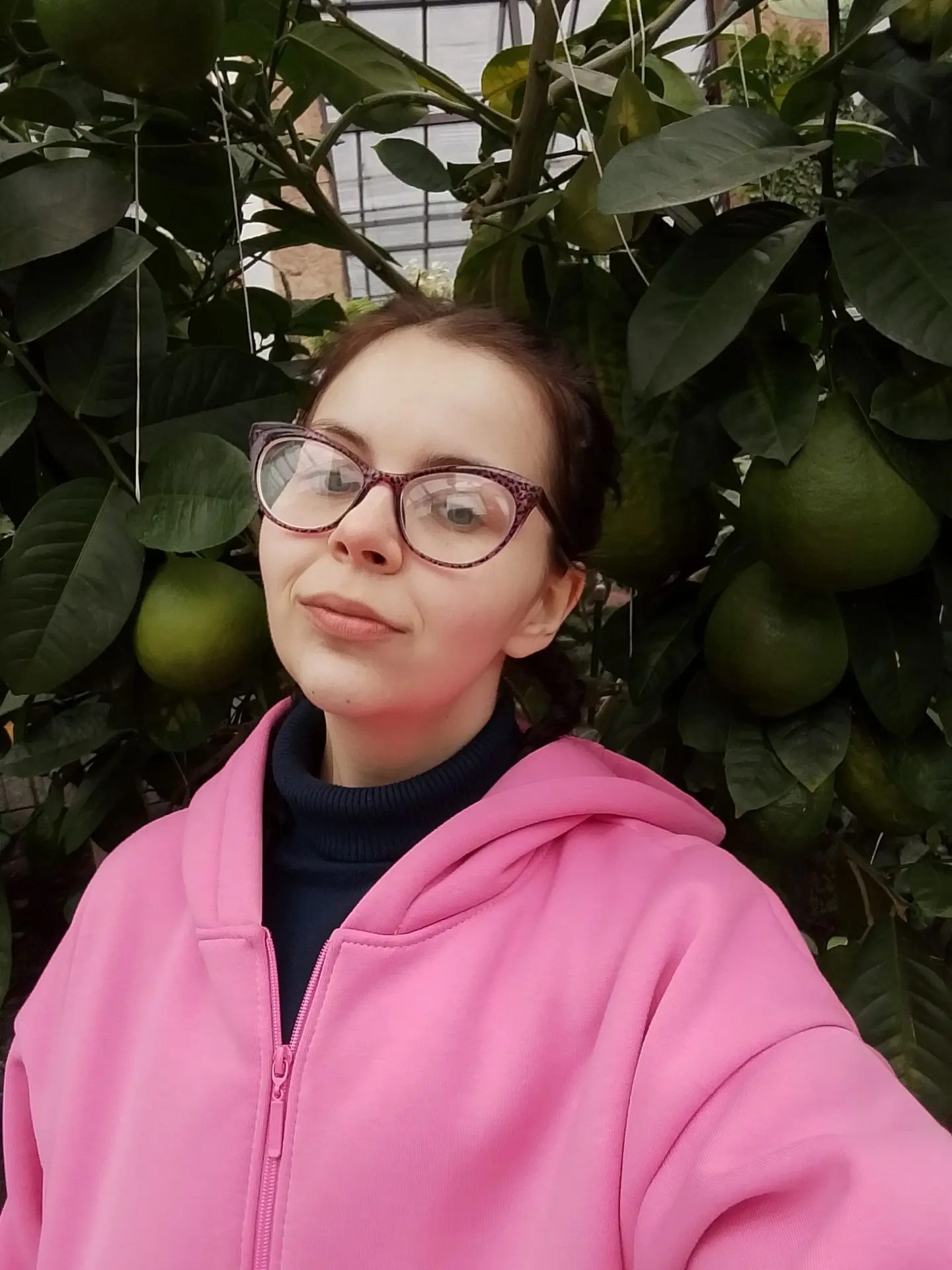 Цитрусы в Оранжерее