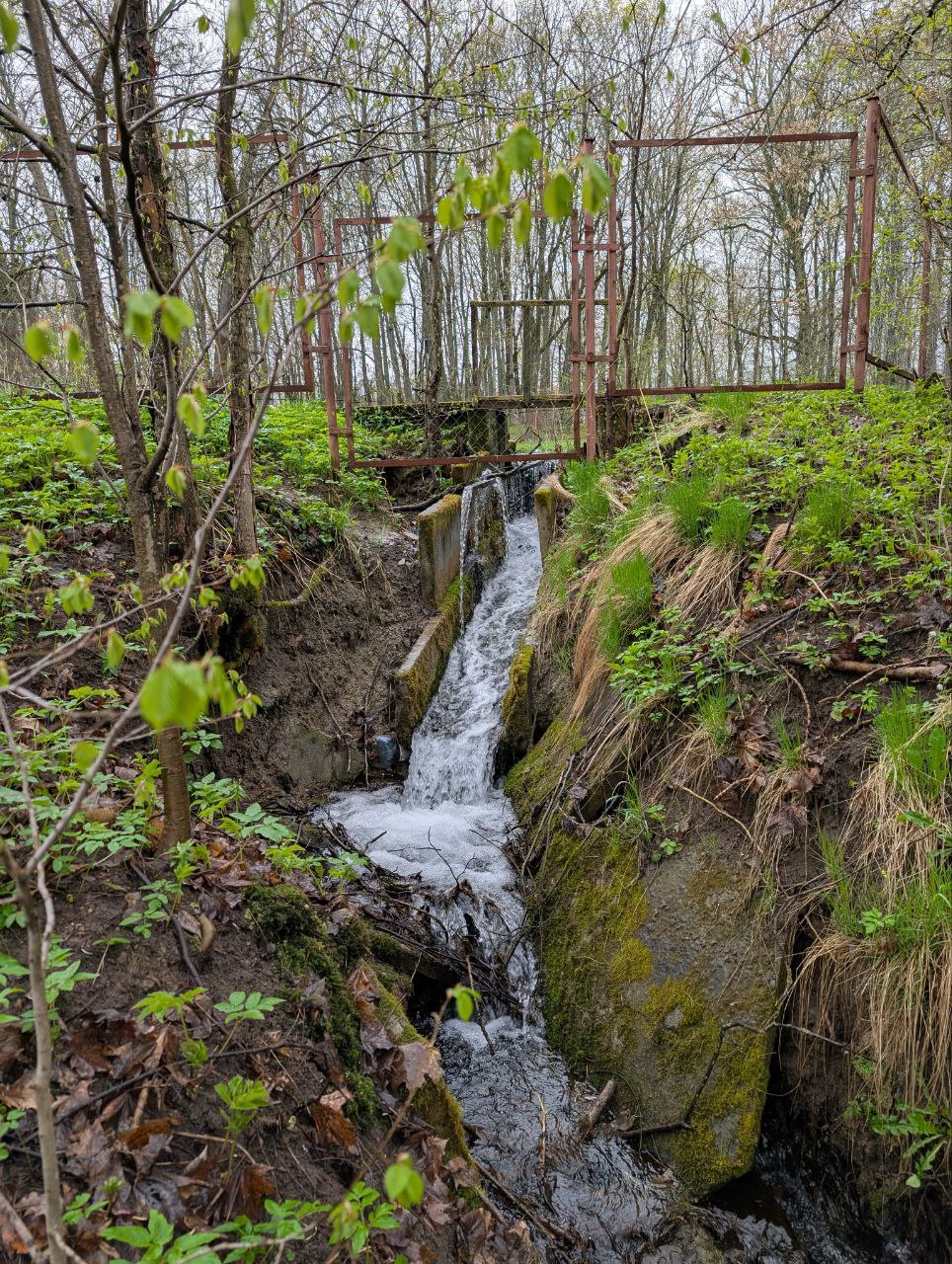 Водичка