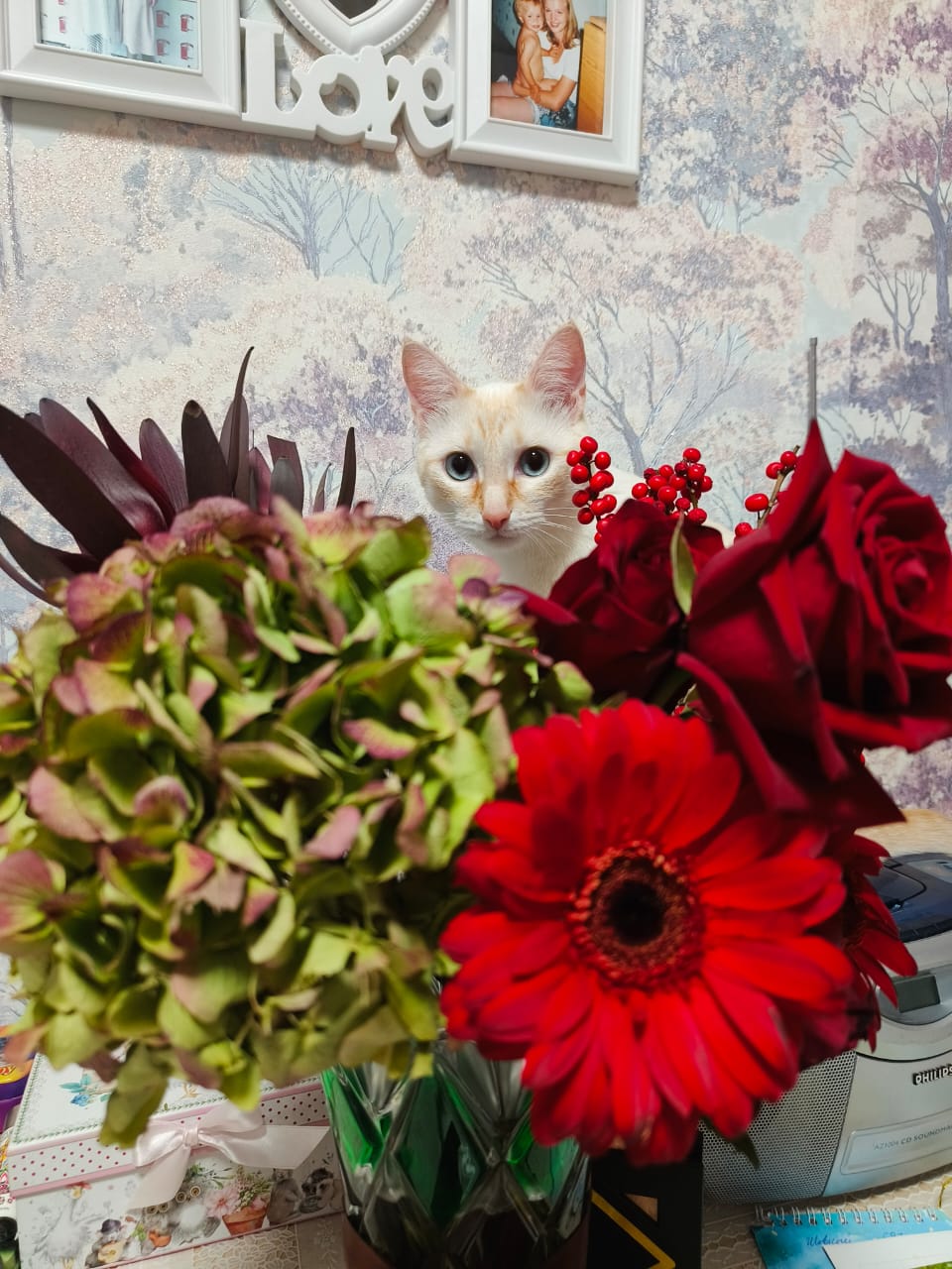 Кот Тайсон очень любит цветы. Застигла его врасплох на столе поедающим свежий букет!