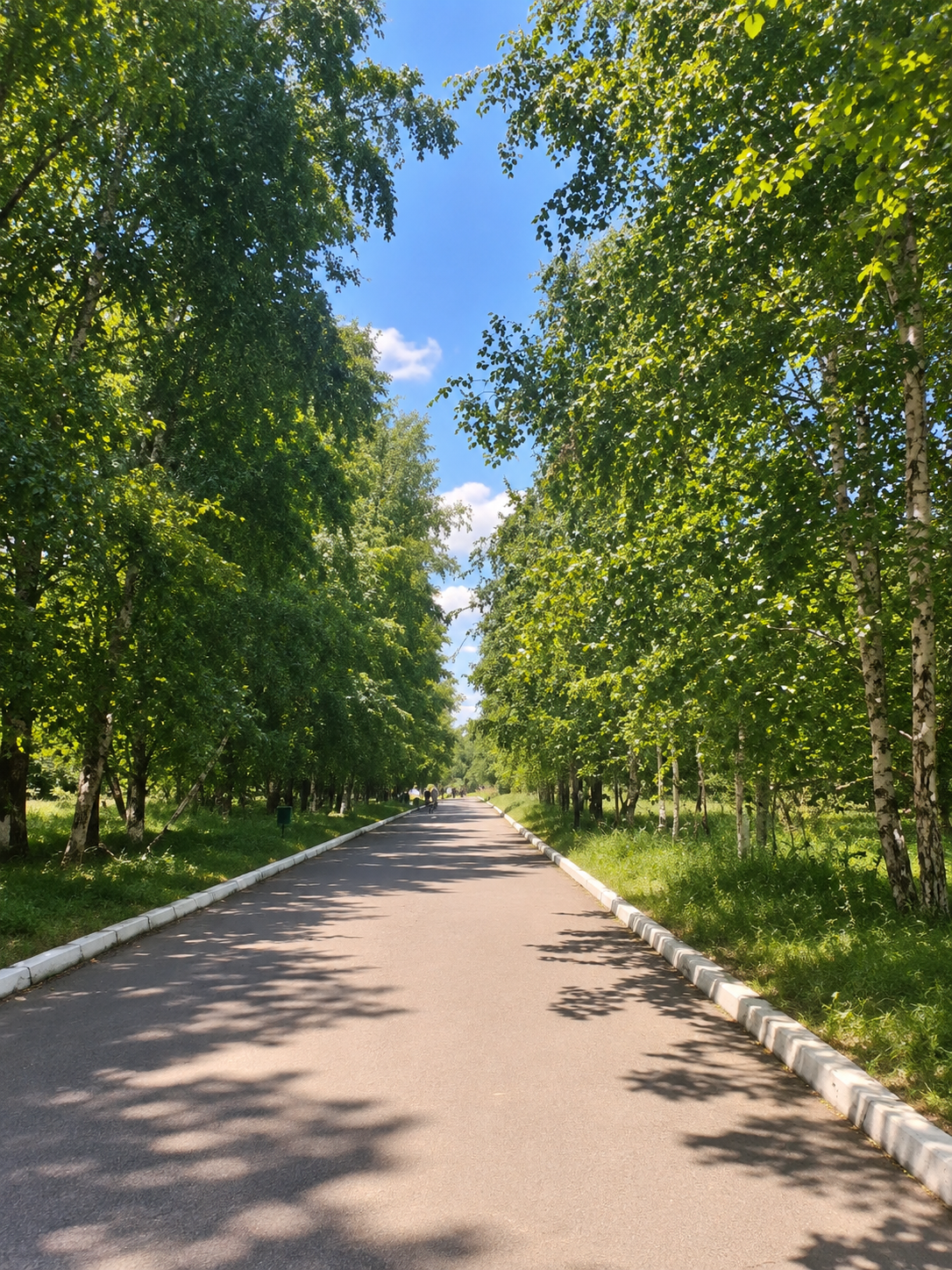 Ментальный компонент