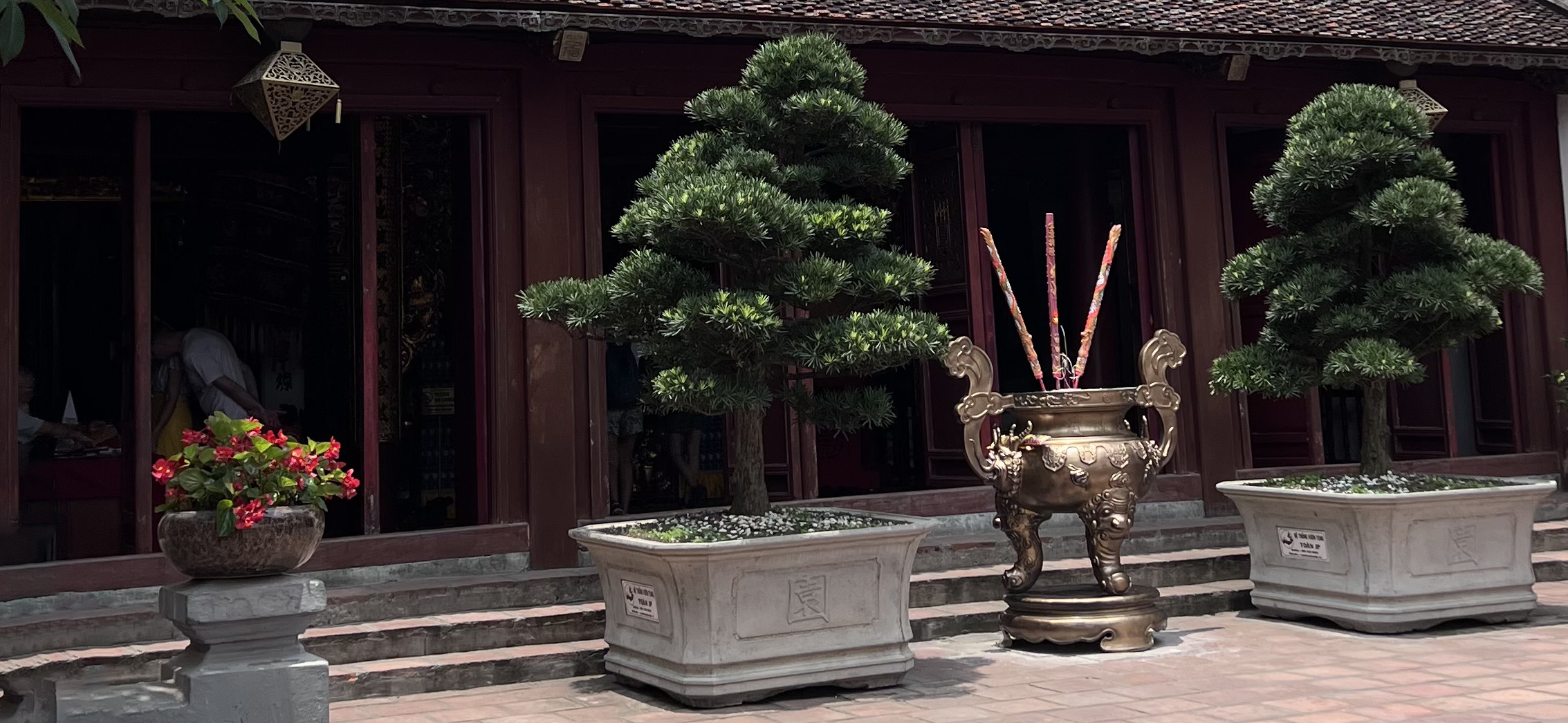 Как я путешествовала по Вьетнаму в мае