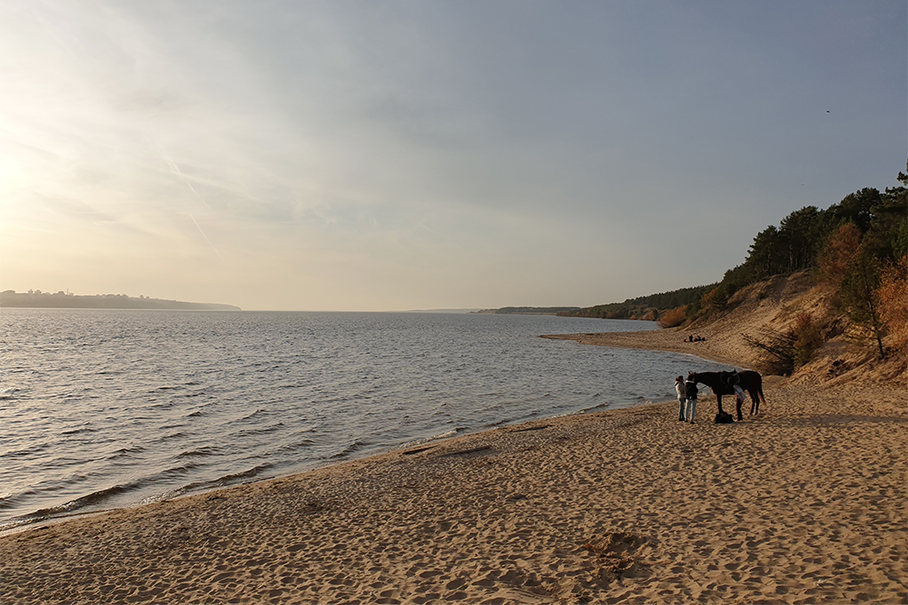 Весь берег в Заволжье — дикий песчаный пляж длиной в 20 километров. Людей здесь почти нет