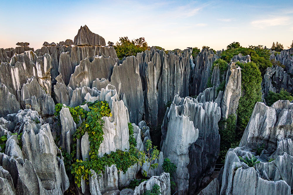 Каменный лес — природный памятник. Фото: Andrii Lutsyk / Shutterstock