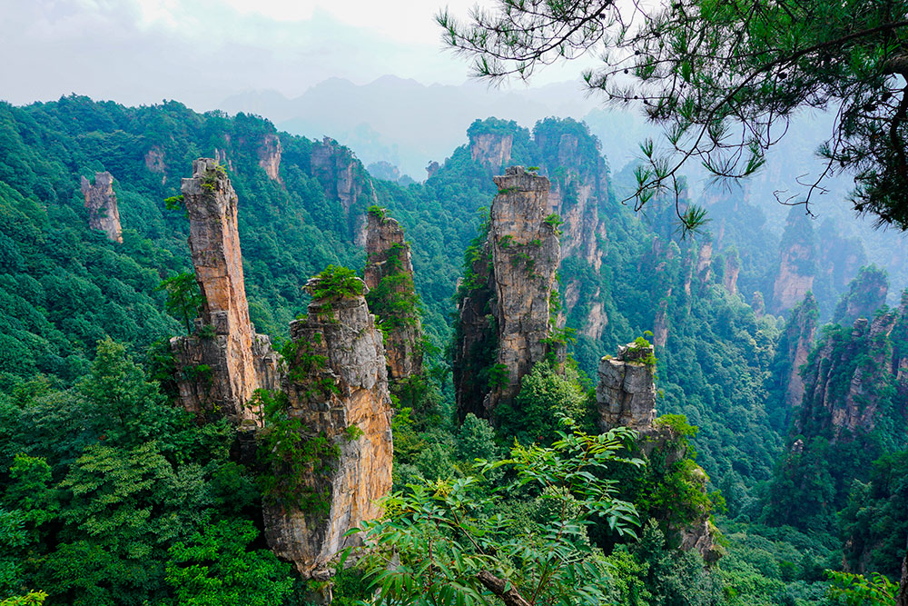 Горы Чжанцзяцзе в провинции Хунань. Вы могли видеть их в фильме «Аватар». Фото: Luca Brianza / Shutterstock