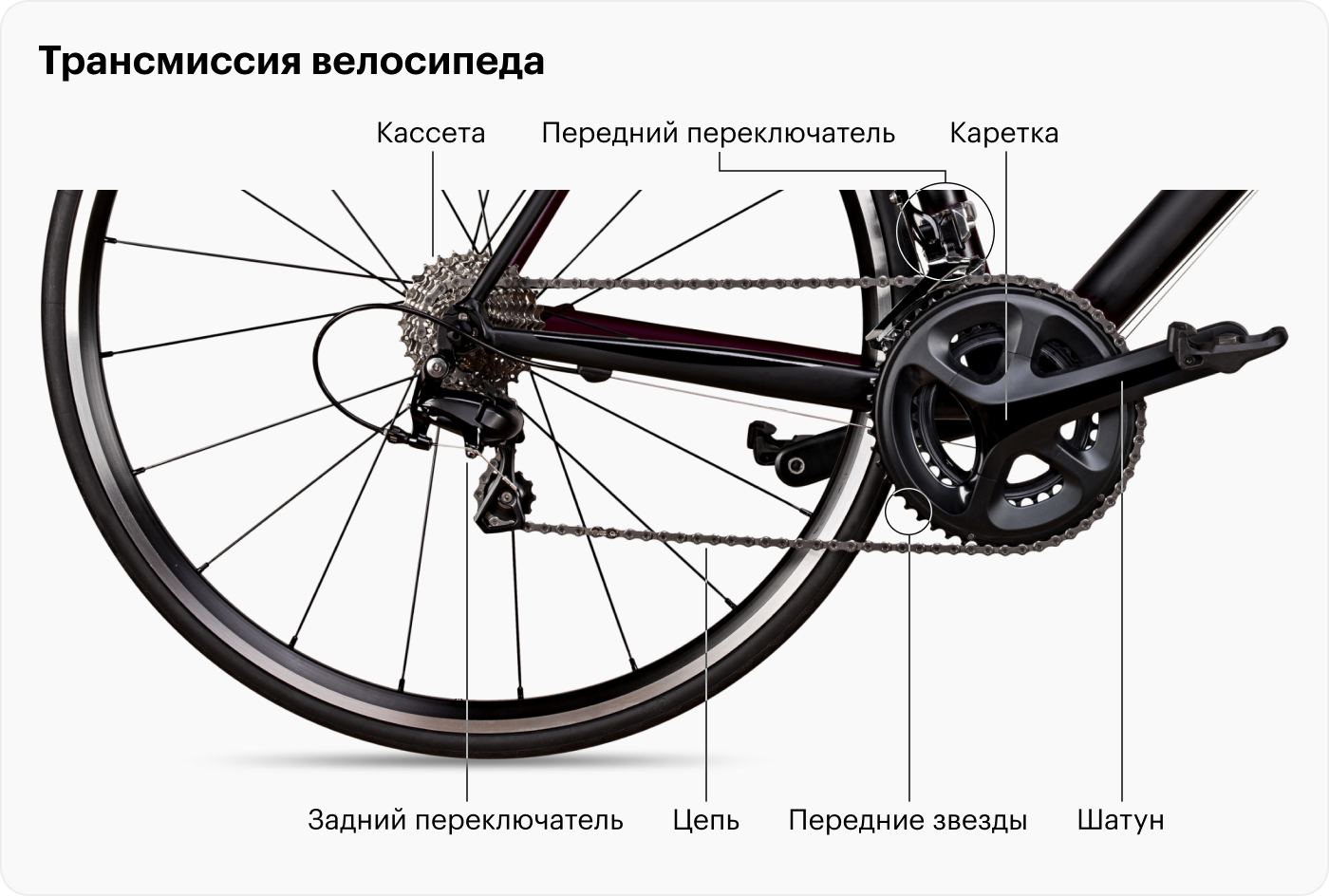 Сигнализация для велосипеда Knog Scout Bike Alarm & Finder купить в интернет-магазине вороковский.рф
