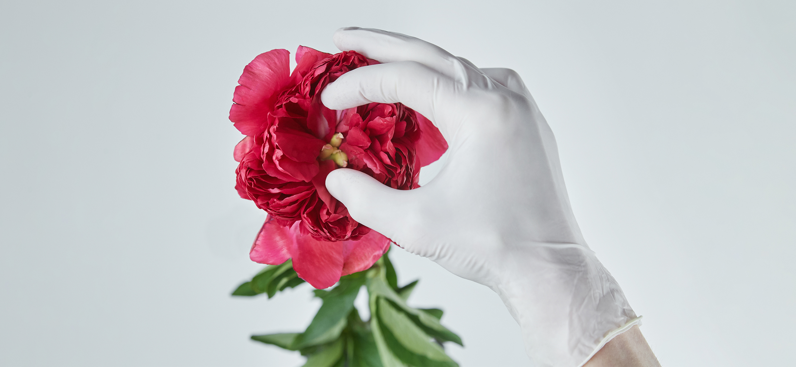 Как не ошибиться при выборе гинеколога: 9 признаков некомпетентного врача