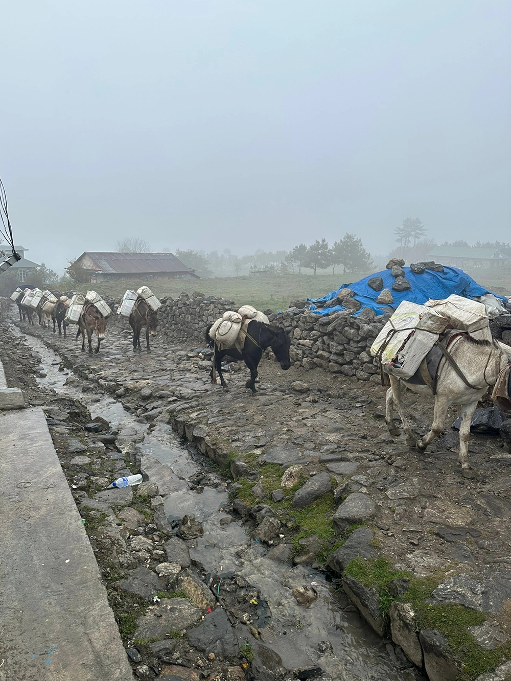 Асфальтированных дорог в высокогорных районах нет, поэтому грузы часто доставляют на лошадях