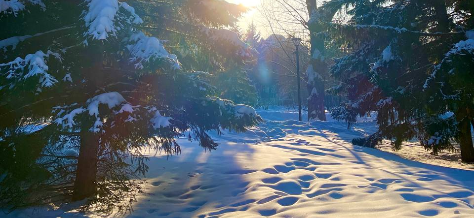 «Билеты туда-обратно обошлись в 9 500 ₽»: сколько я потратила в Новосибирске