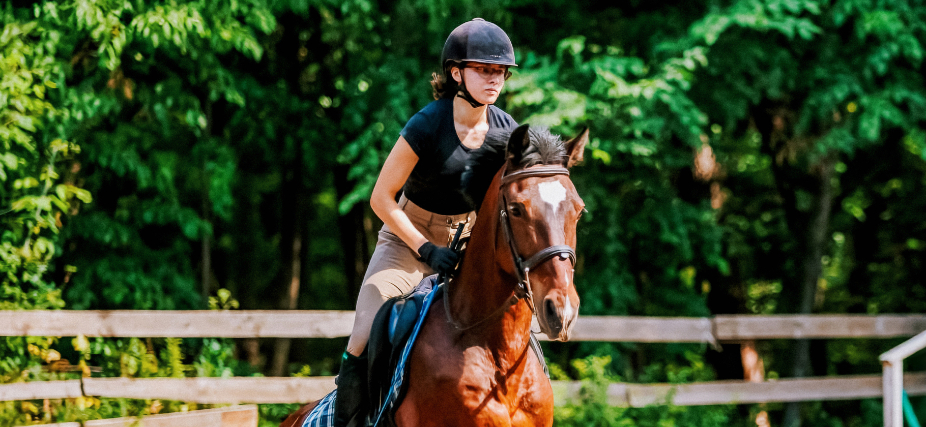 «Полученные эмоции стоят всех денег»: я занимаюсь конным спортом и трачу 6 000 ₽ в месяц
