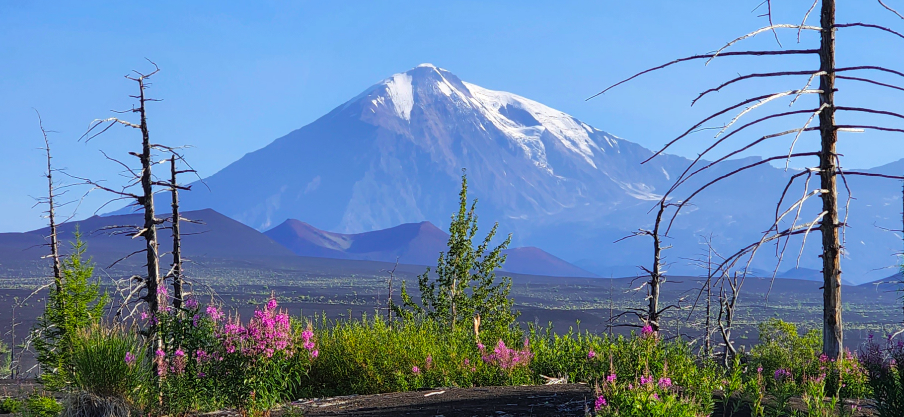 «200 метров ползла на четве­реньках»: как­­ я подня­лась на вулкан Плоский Толбачик на Камчатке