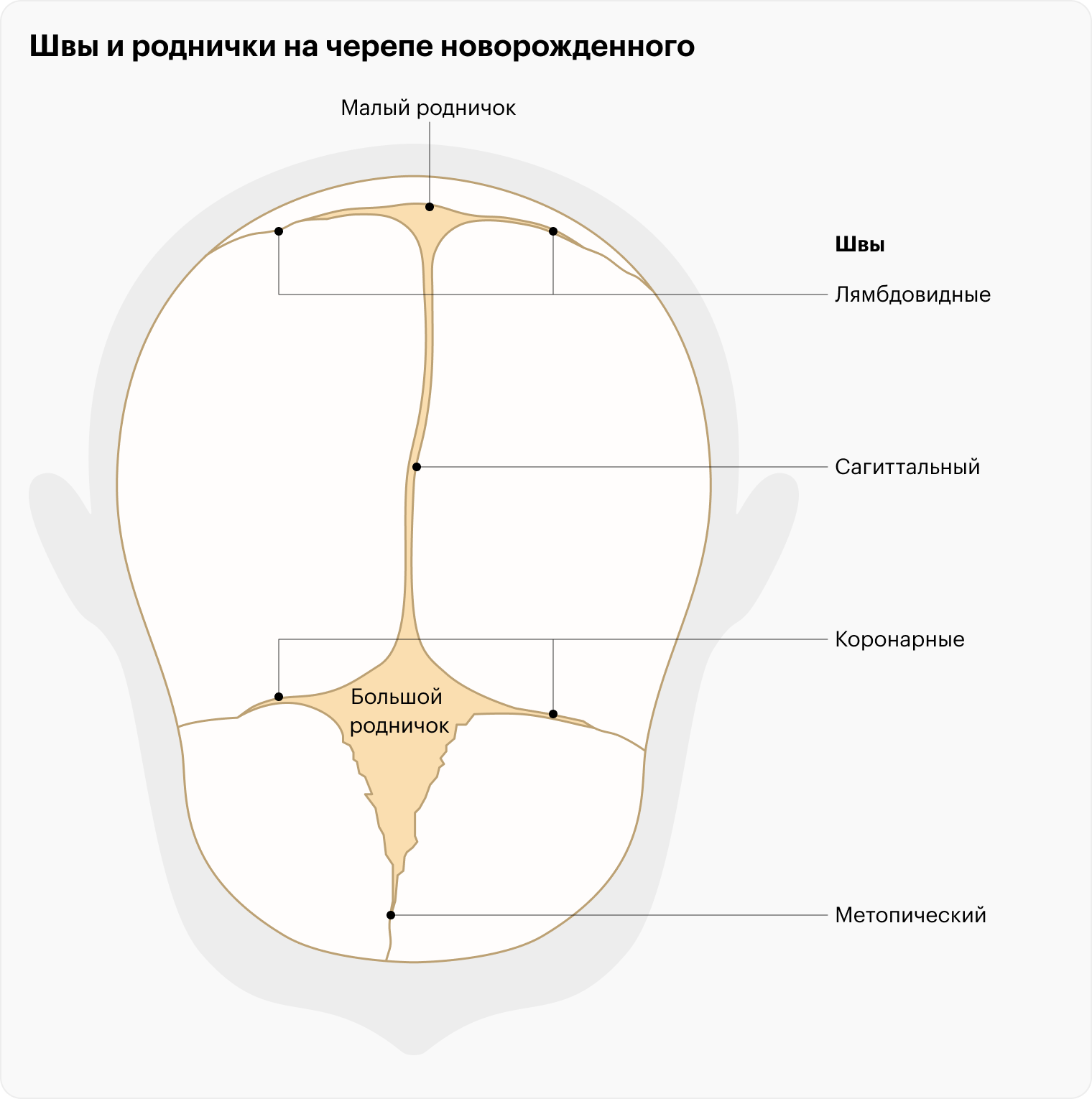 Кривая голова у ребенка - что такое плагиоцефалия и опасна ли она | РБК Украина