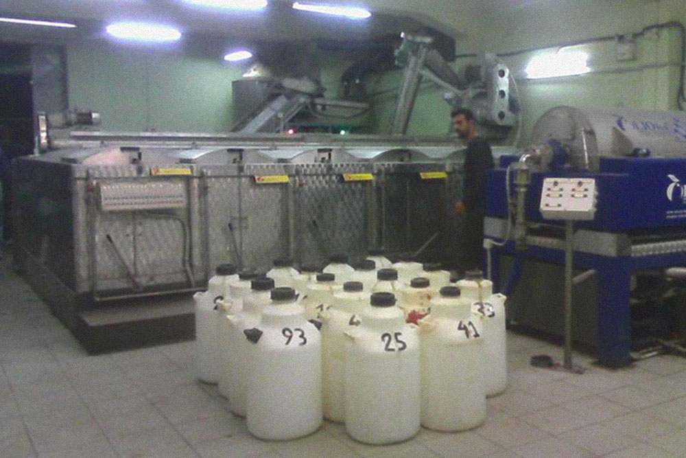 Зимой жители Крита в основном работают на сборе оливок и фабриках по отжиму масла. На такую фабрику мой муж привозит урожай оливок для отжима