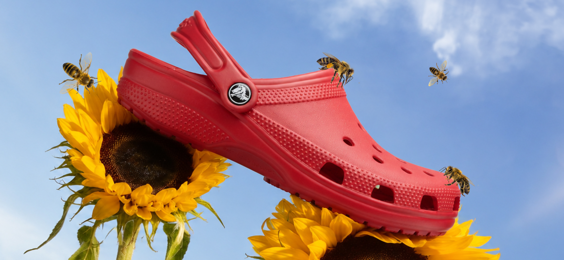 Стоят ли сабо Crocs своих денег: ищем оригинальные кроксы и сравниваем их с аналогами
