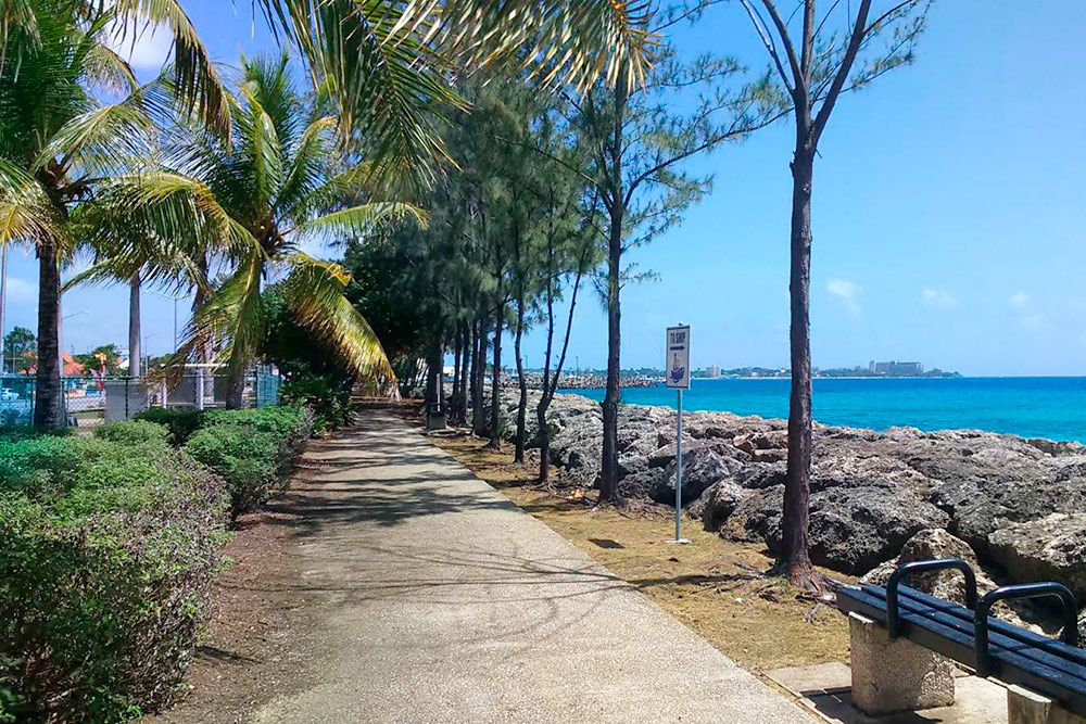 Дорога на пляж на Барбадосе из порта Бриджтаун. На этом острове настоятельно рекомендуют не выходить в город в одиночестве, так как там повышенный уровень преступности