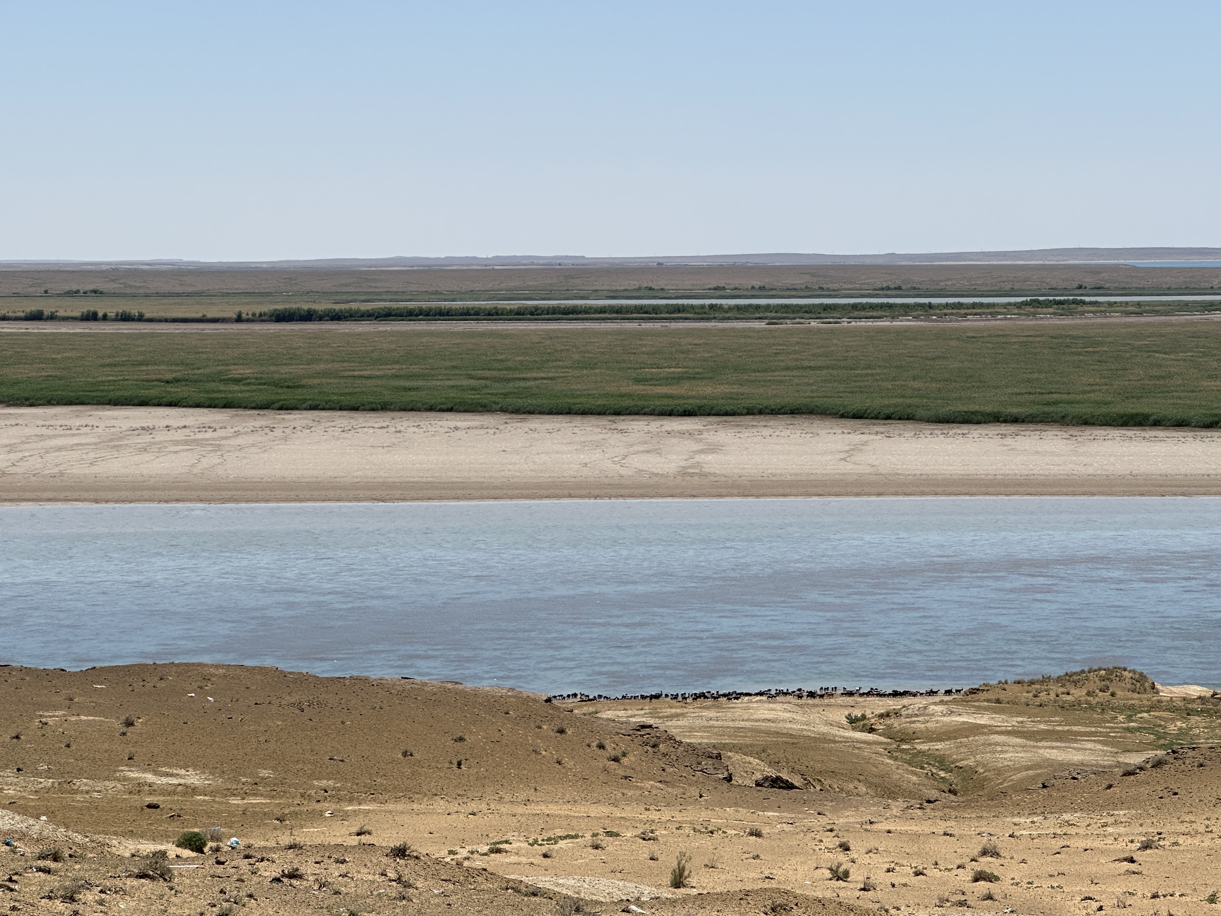 Берега Амударьи