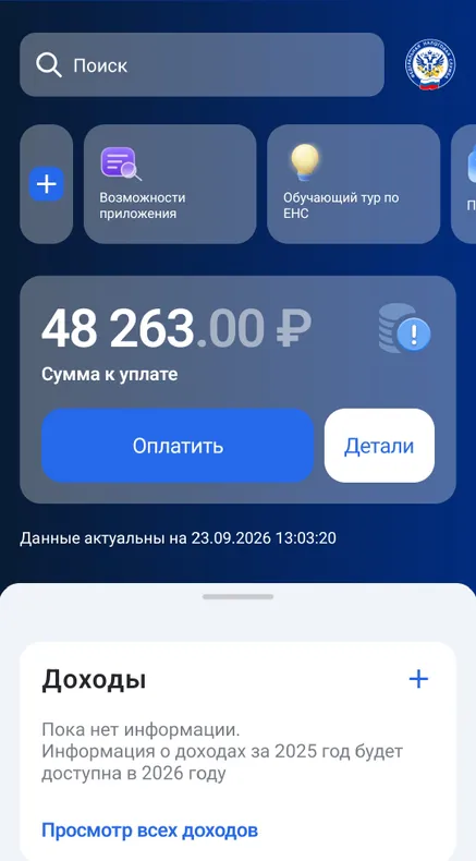 Срок уплаты — 1 декабря