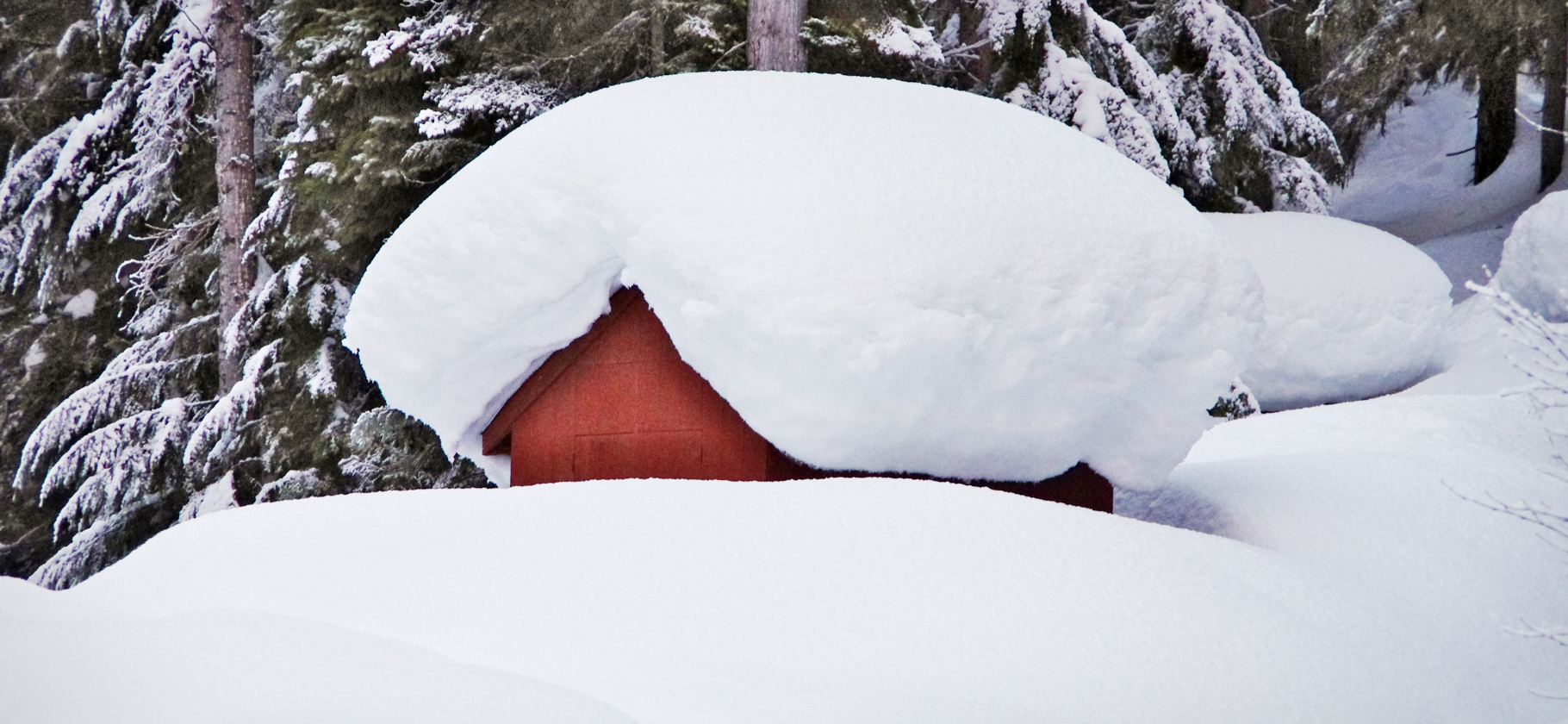 «Уже и шашлыков не хочется»: 5 приз­наков, которые отличают дачу от дома для посто­янного проживания