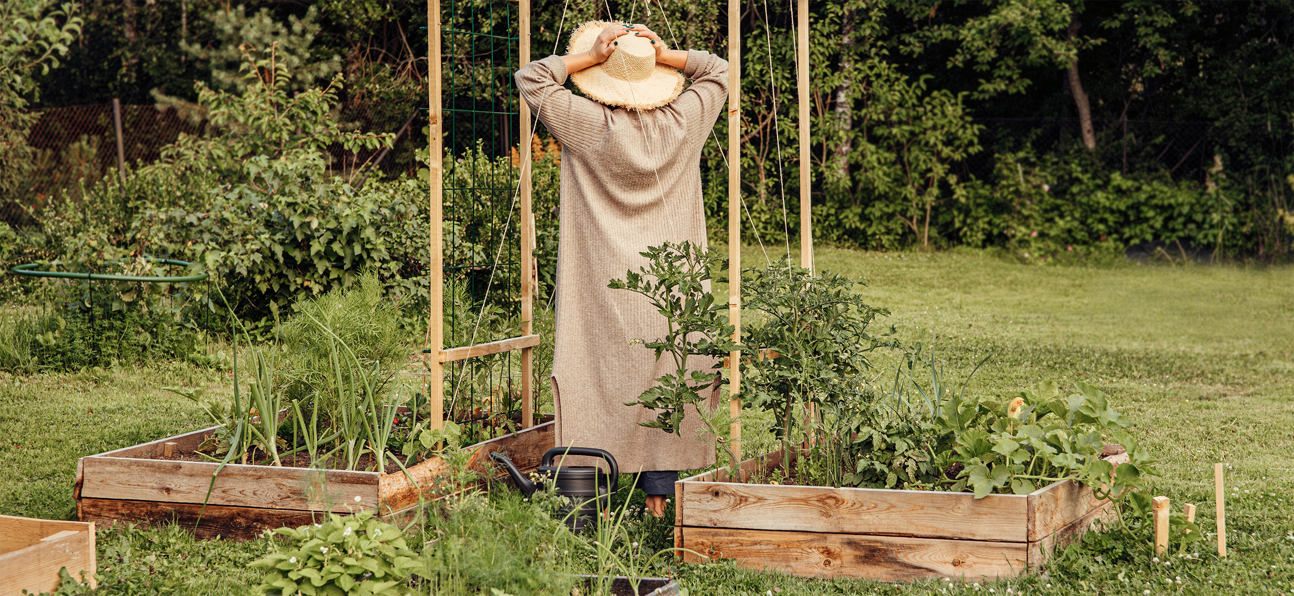 В России запретили садоводство на зем­лях сельхозугодий: разбираемся, кого это коснется