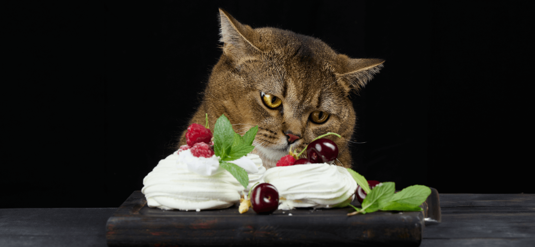 10 продуктов, которые нельзя кошкам