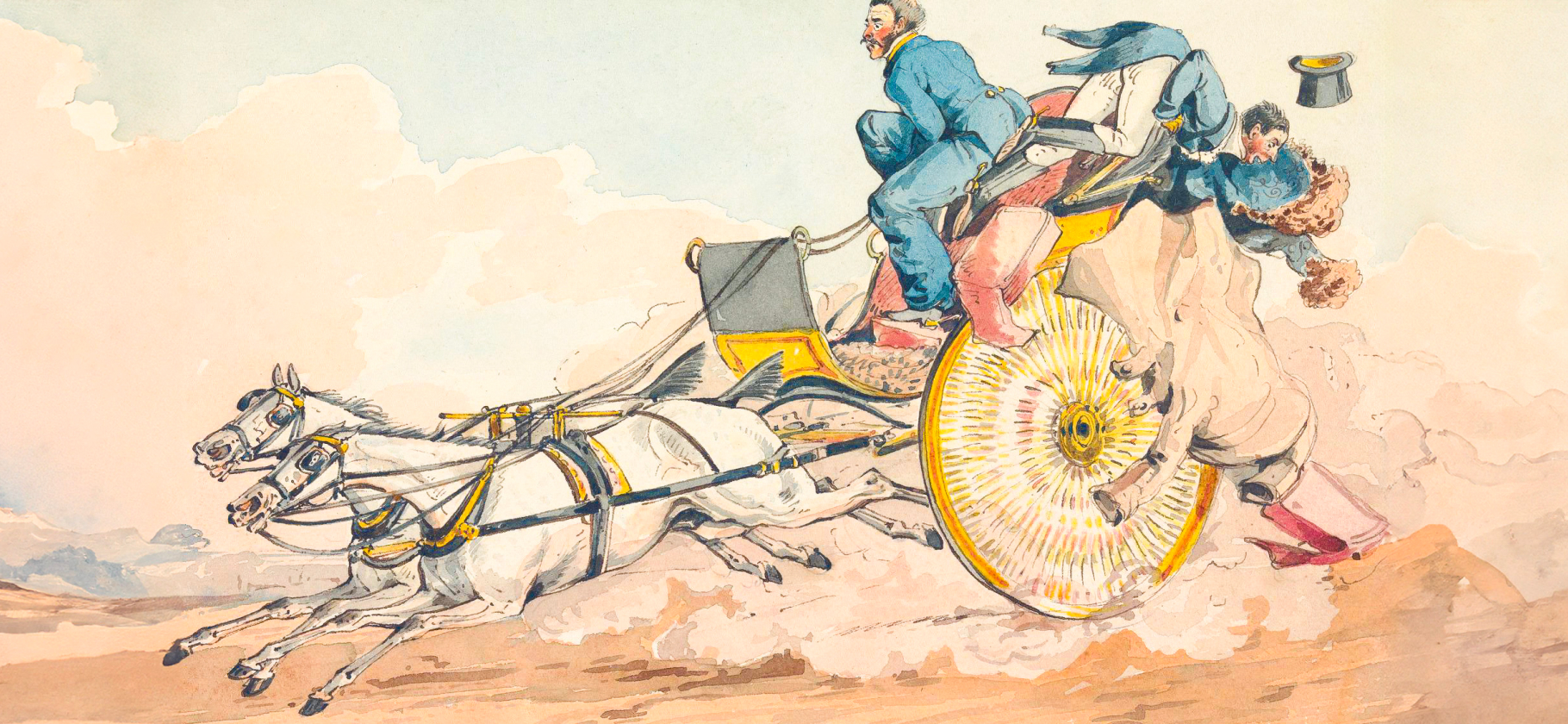 Бывали опасные ситуации за рулем из⁠-⁠за ​насекомых или животных? Расска­жите, что случилось