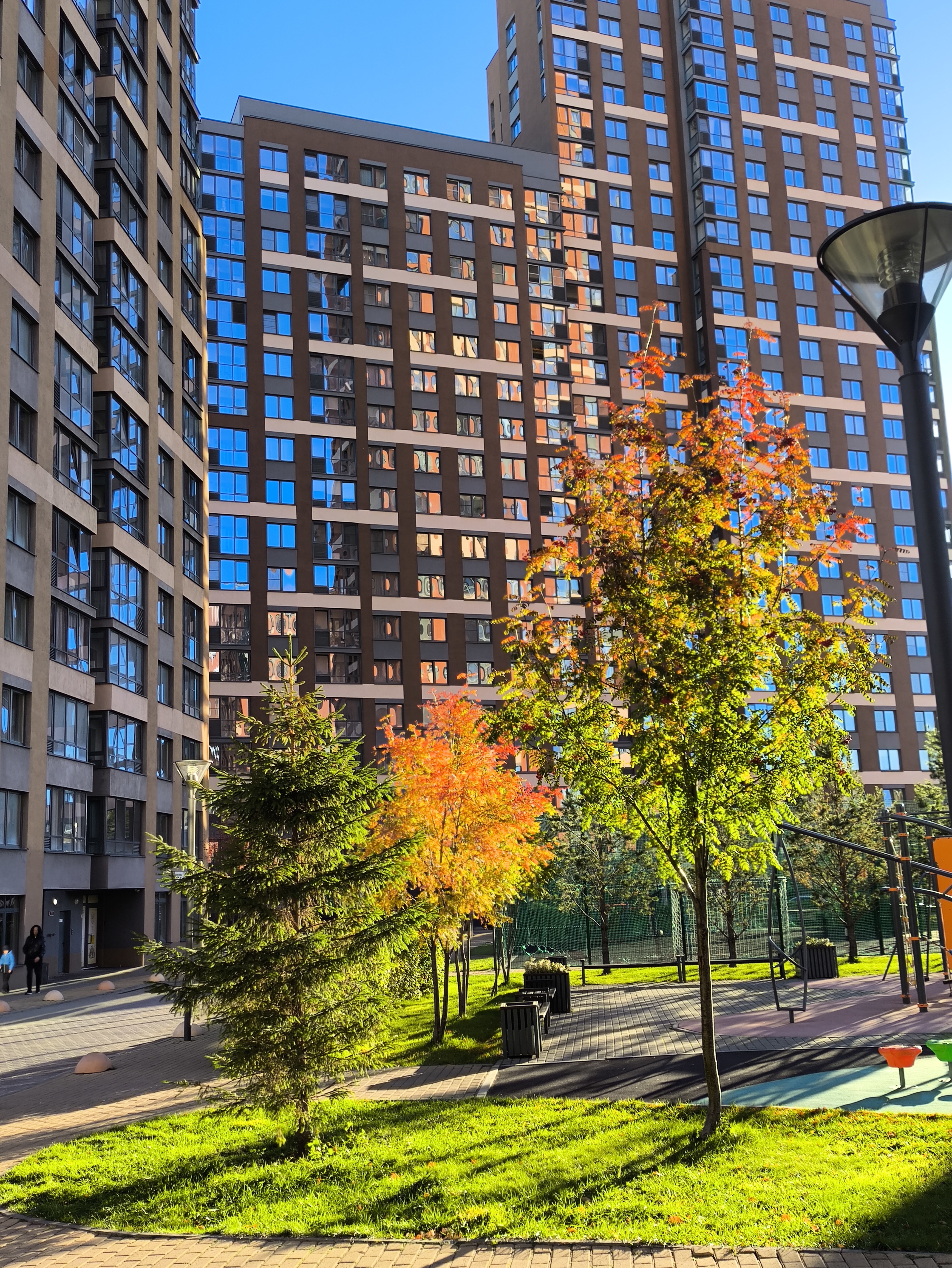 Фотографии года