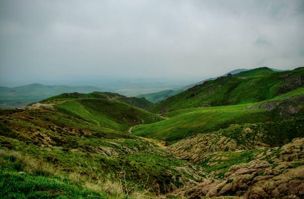 Катя Гончарова 