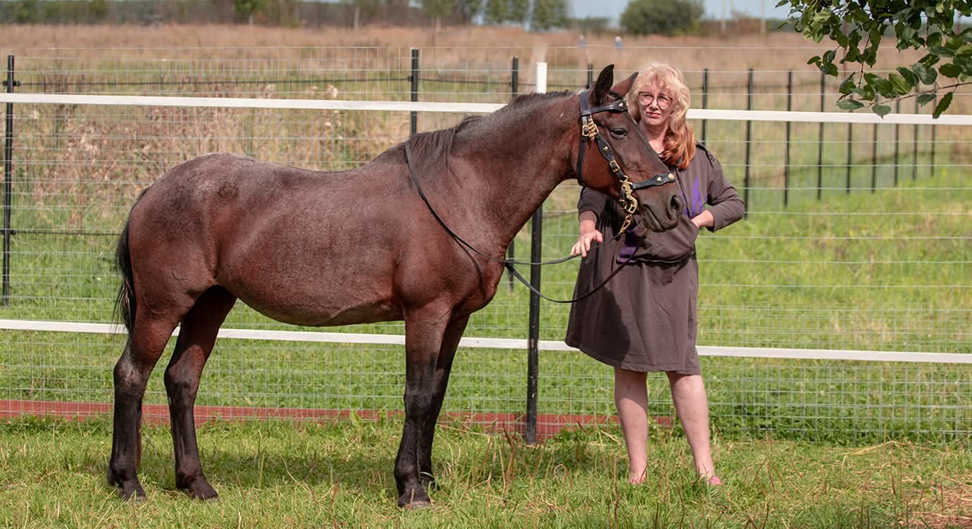 Письмо психологу: я не могу принять жизнь на даче, куда вынуждена приезжать летом