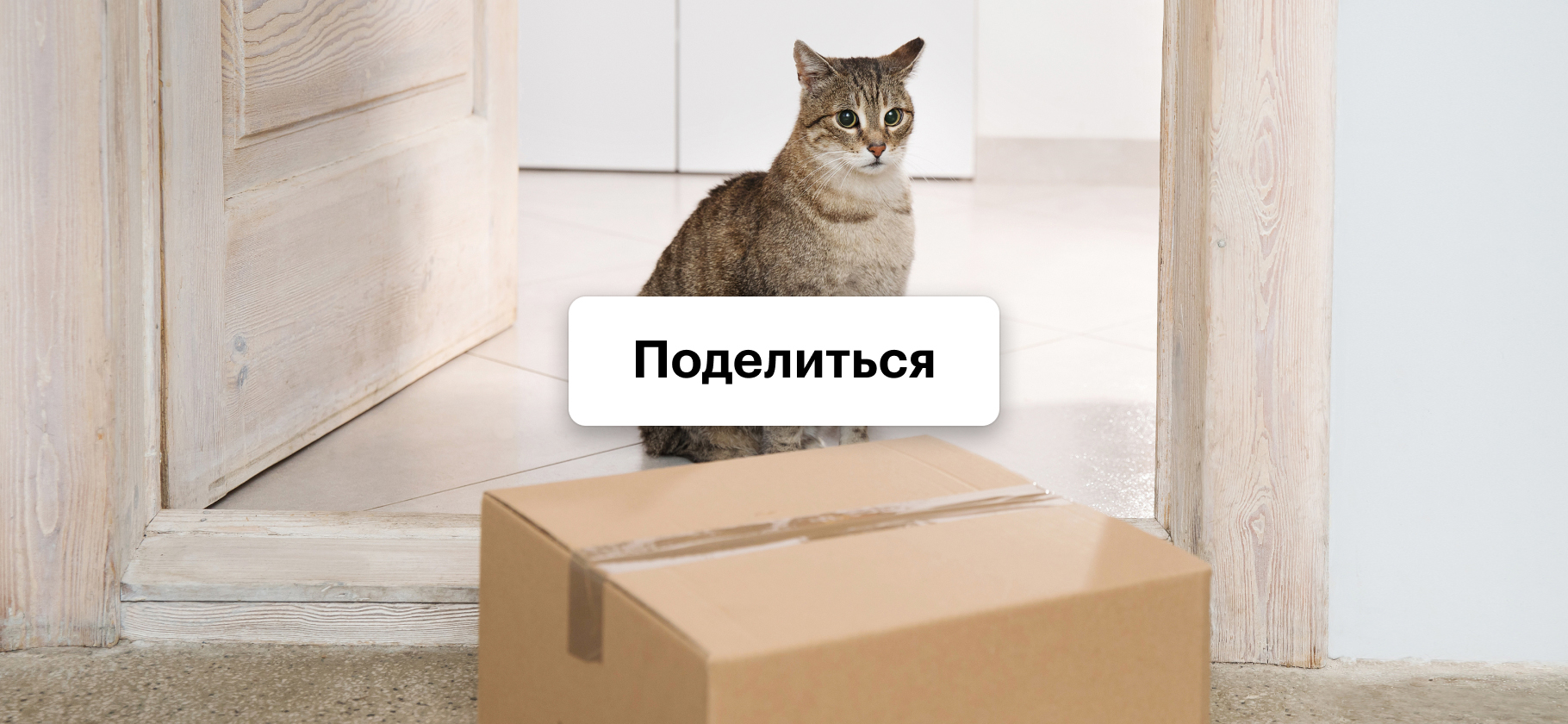 Попадали в интересные ситуации из-за доставки? Расскажите нам все в красках