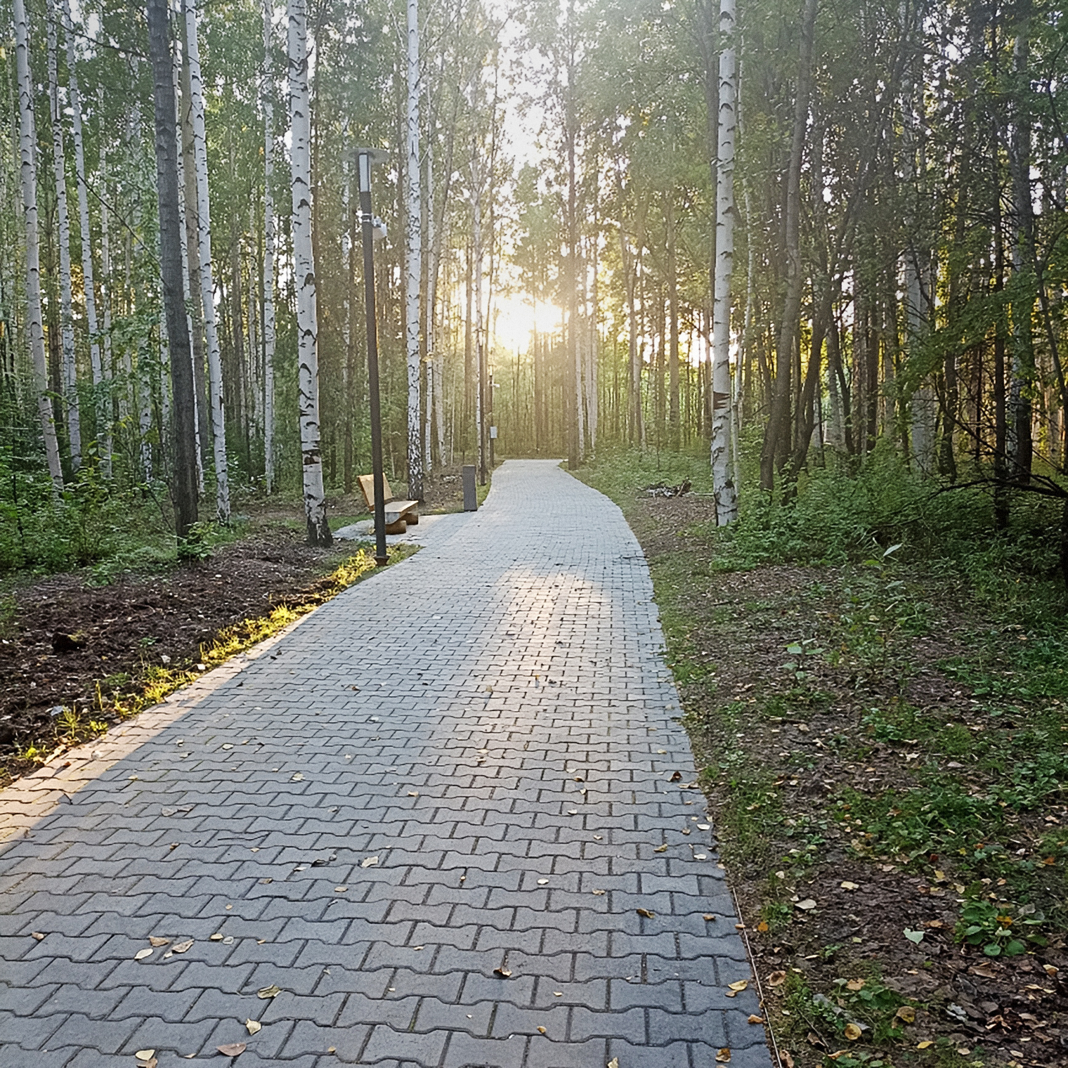 Фото с прогулки, каталась по аллее