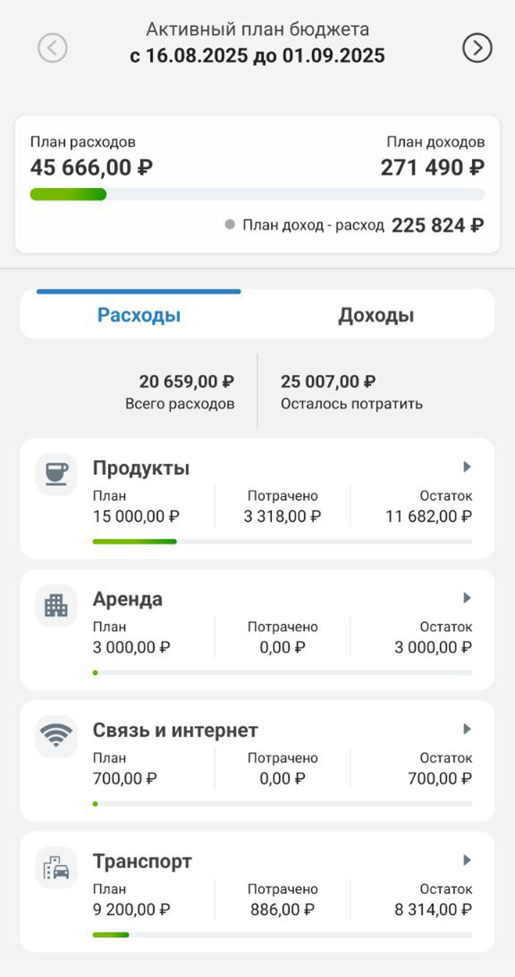 Пример того, как я веду бюджет